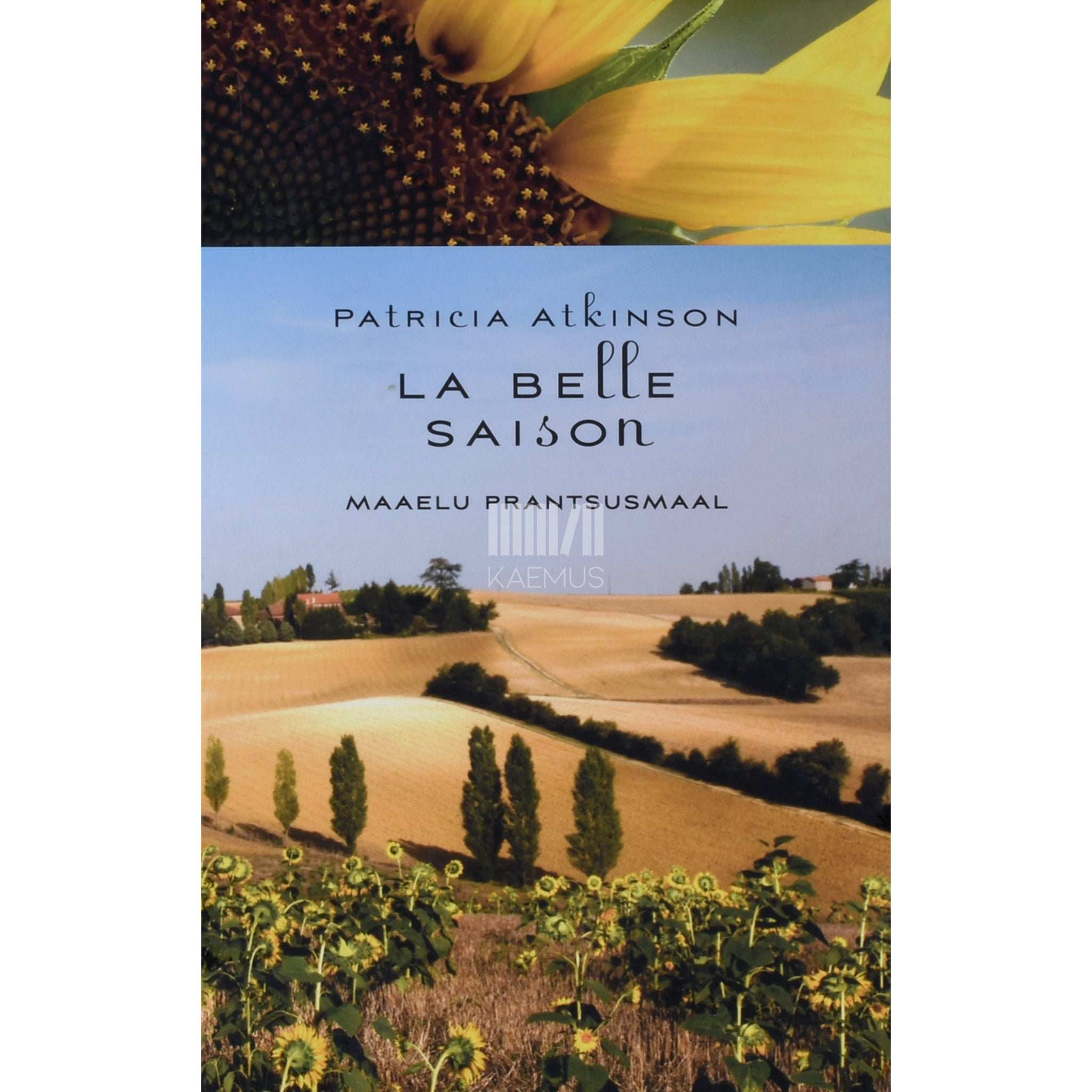 Teri Wilson Maskita Juliet