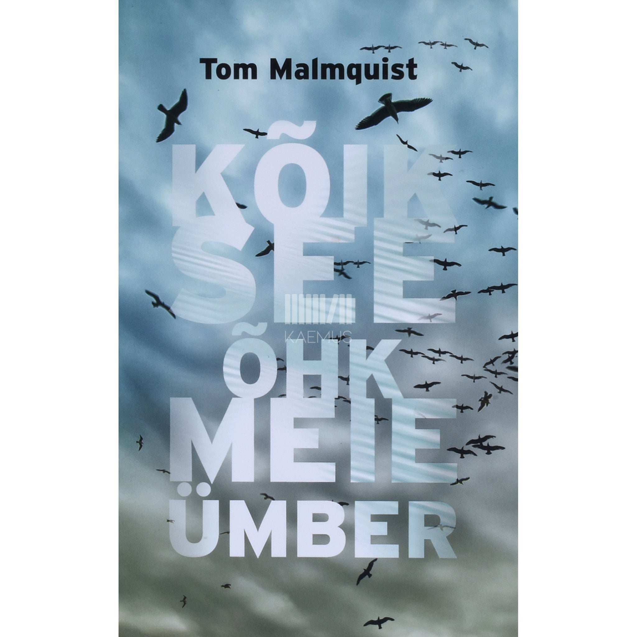 Tom Malmquist Kõik see õhk meie ümber