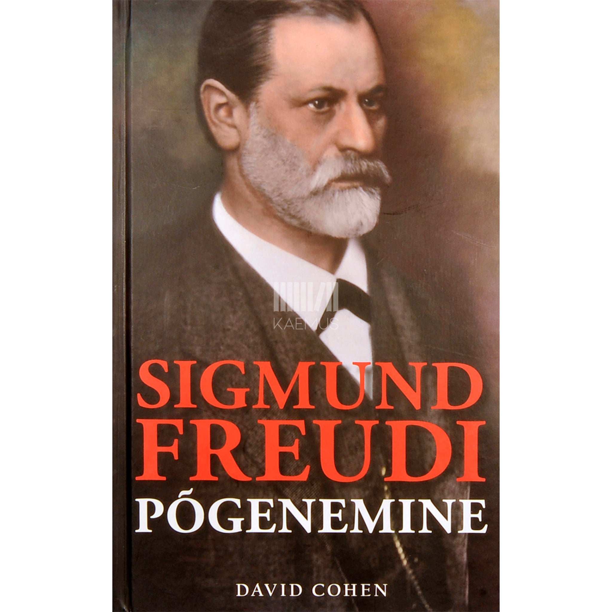 David Cohen Sigmund Freudi põgenemine