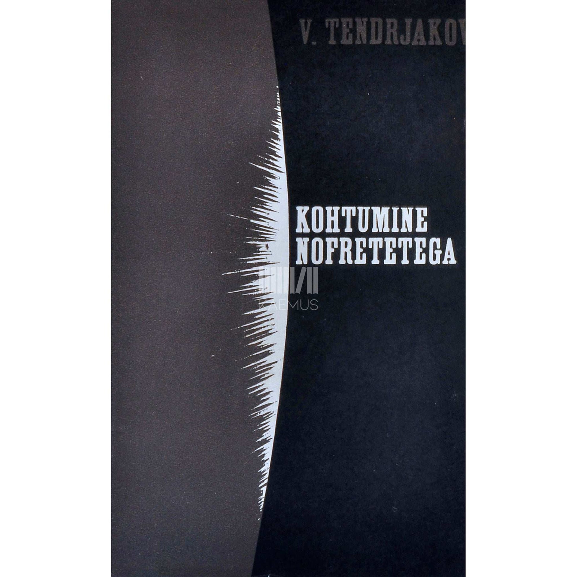 Vladimir Tendrjakov - Kohtumine Nofretetega