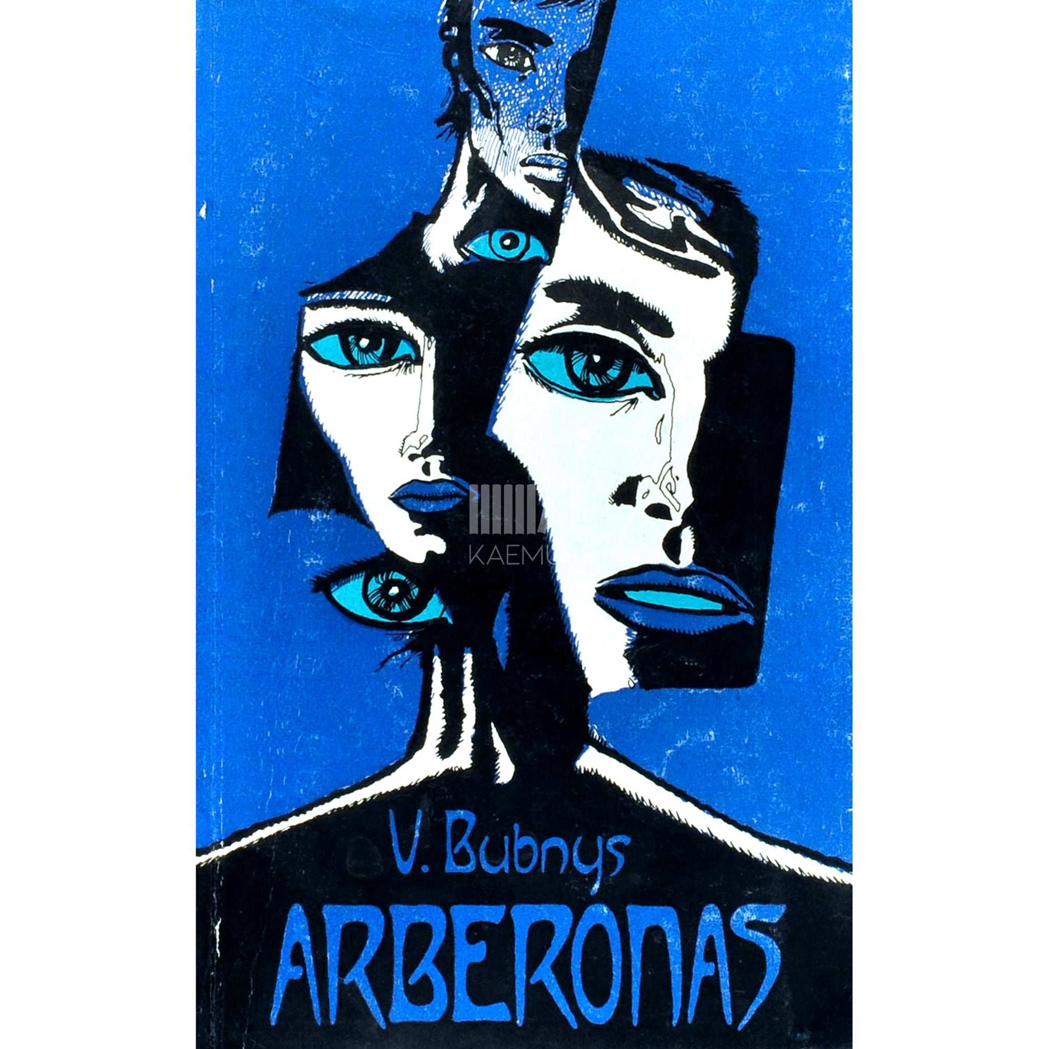 Vytautas Bubnys Arberonas