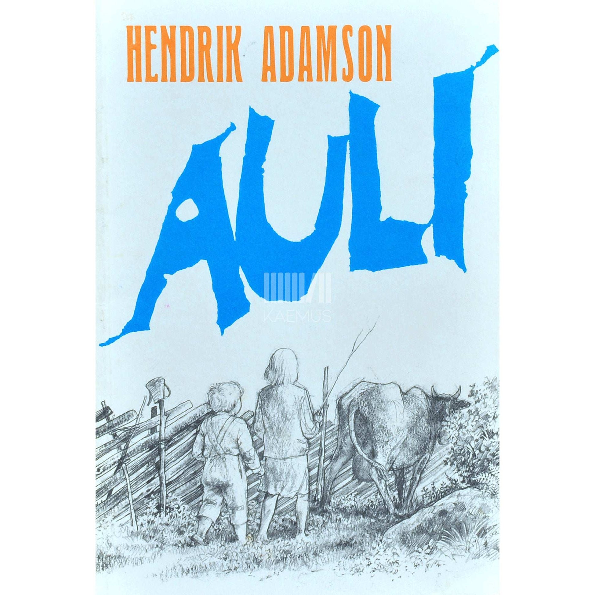 Hendrik Adamson - Auli. Lugu ühest väikesest poisist