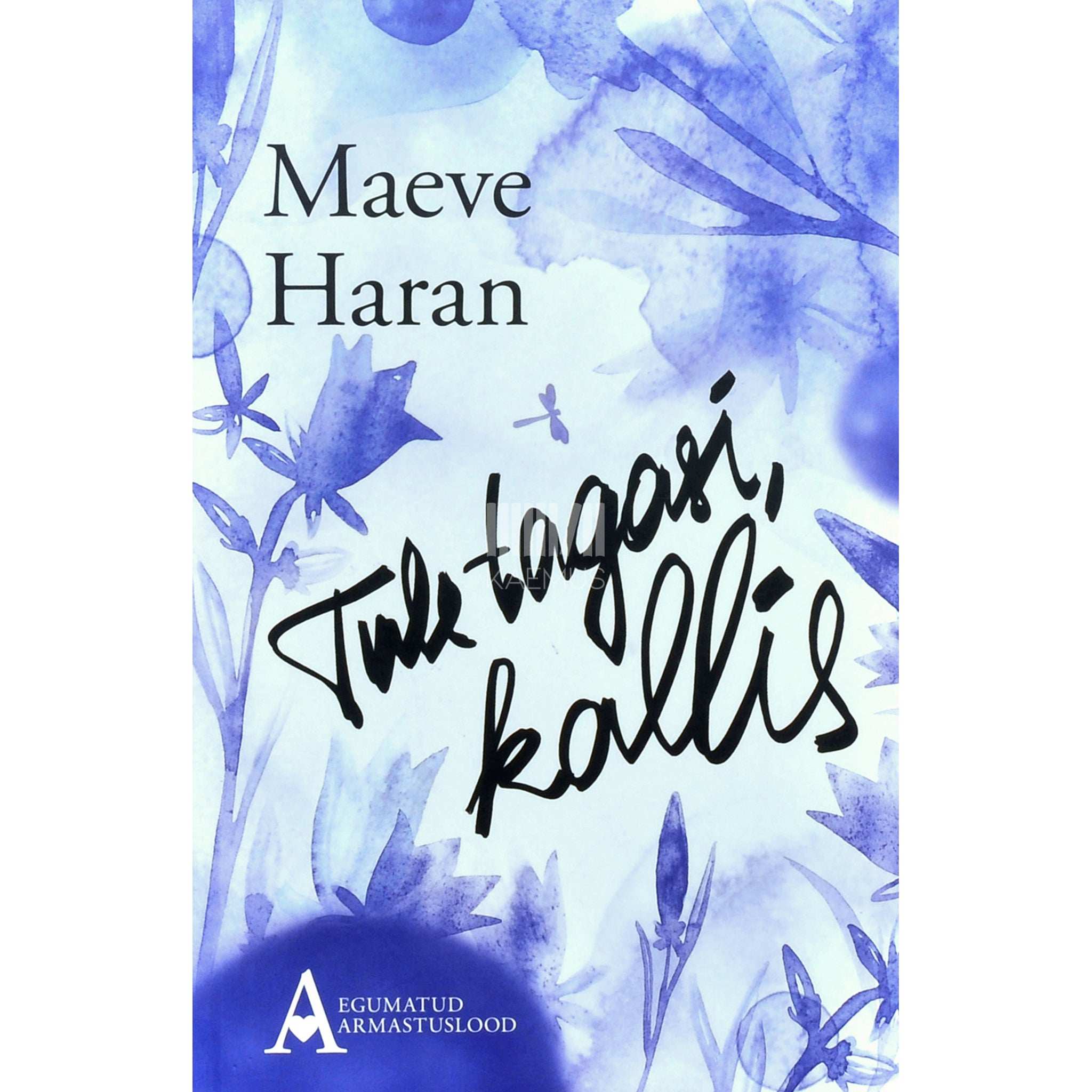 Maeve Haran Tule tagasi, kallis