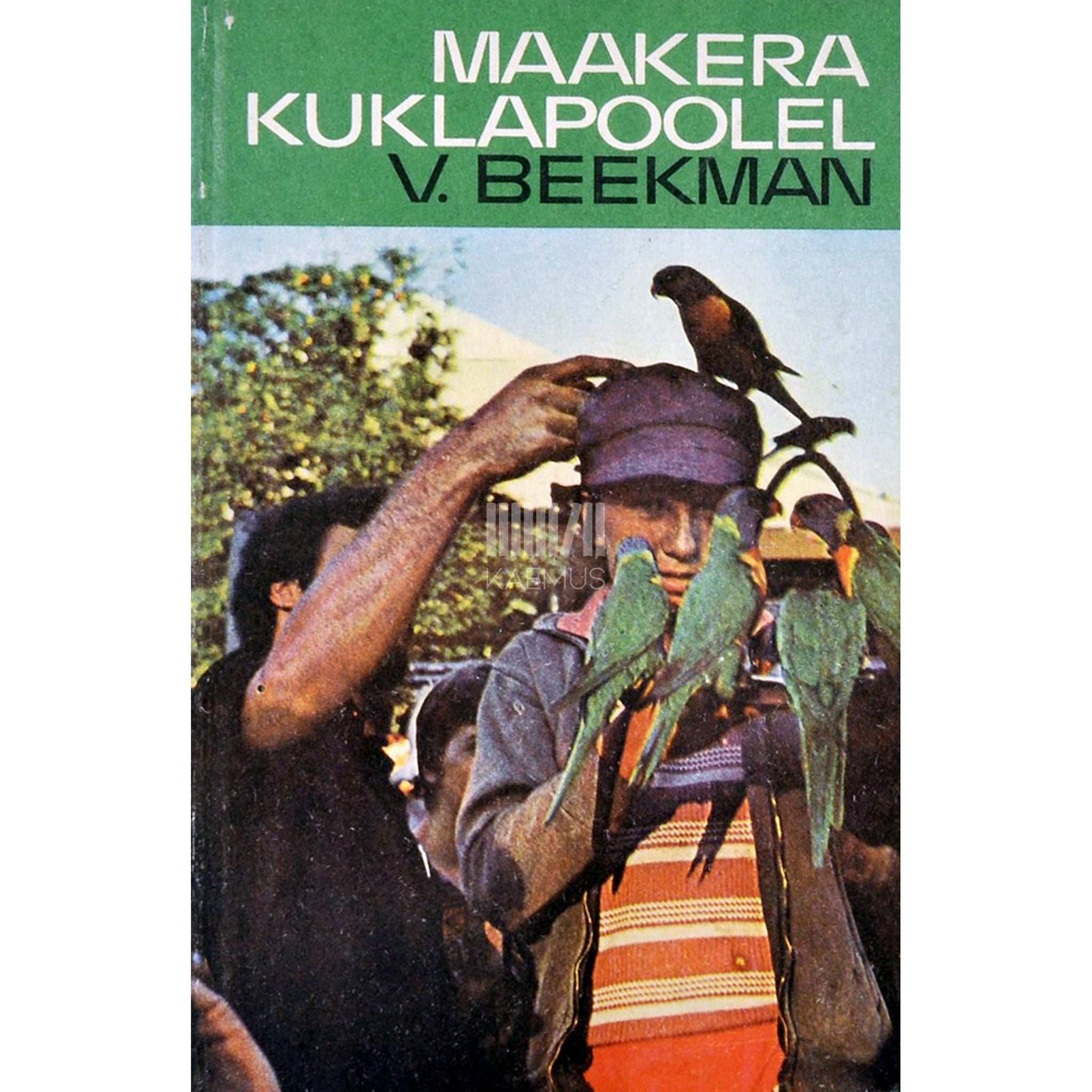 Vladimir Beekman Maakera kuklapoolel