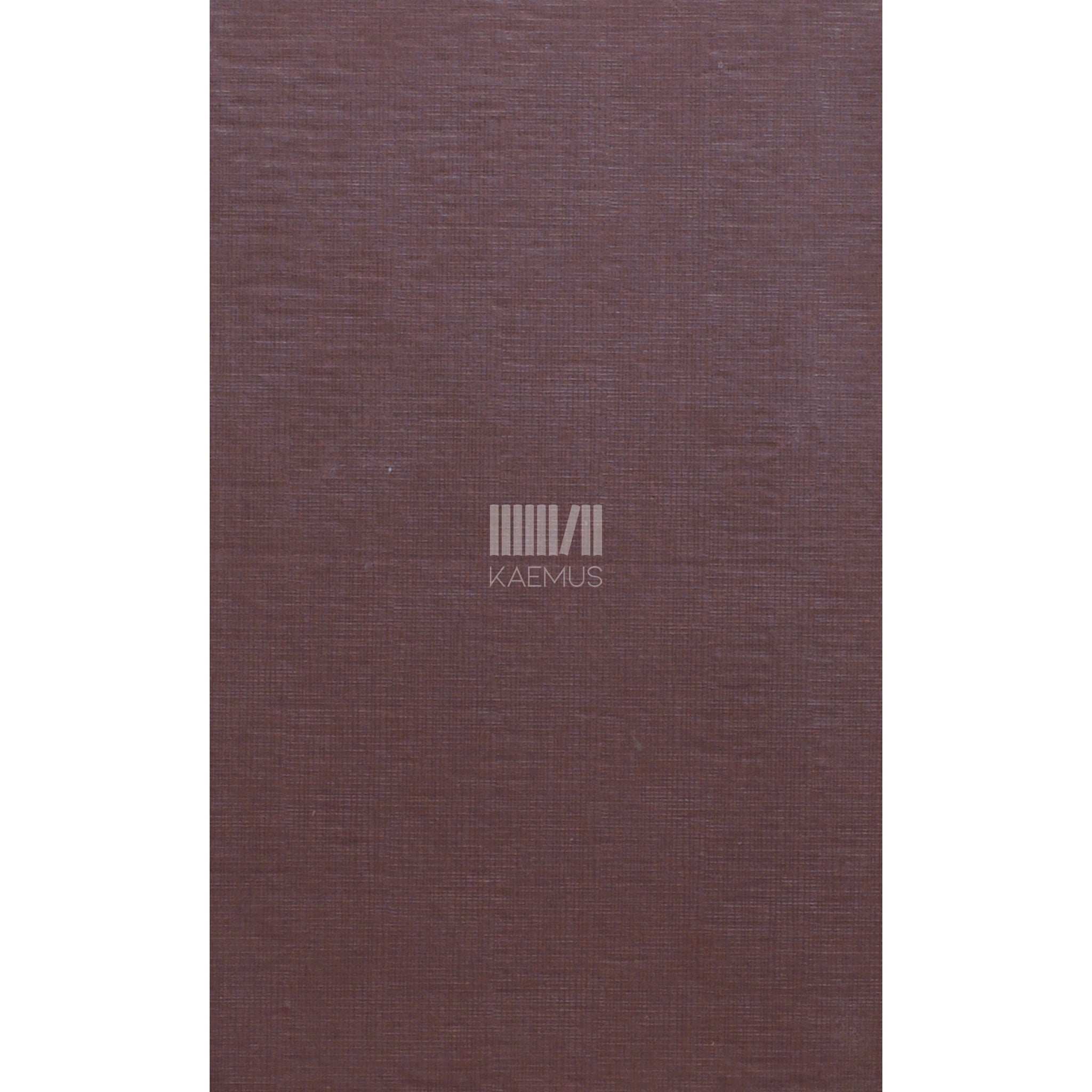 Johannes Semper Kivi kivi peale