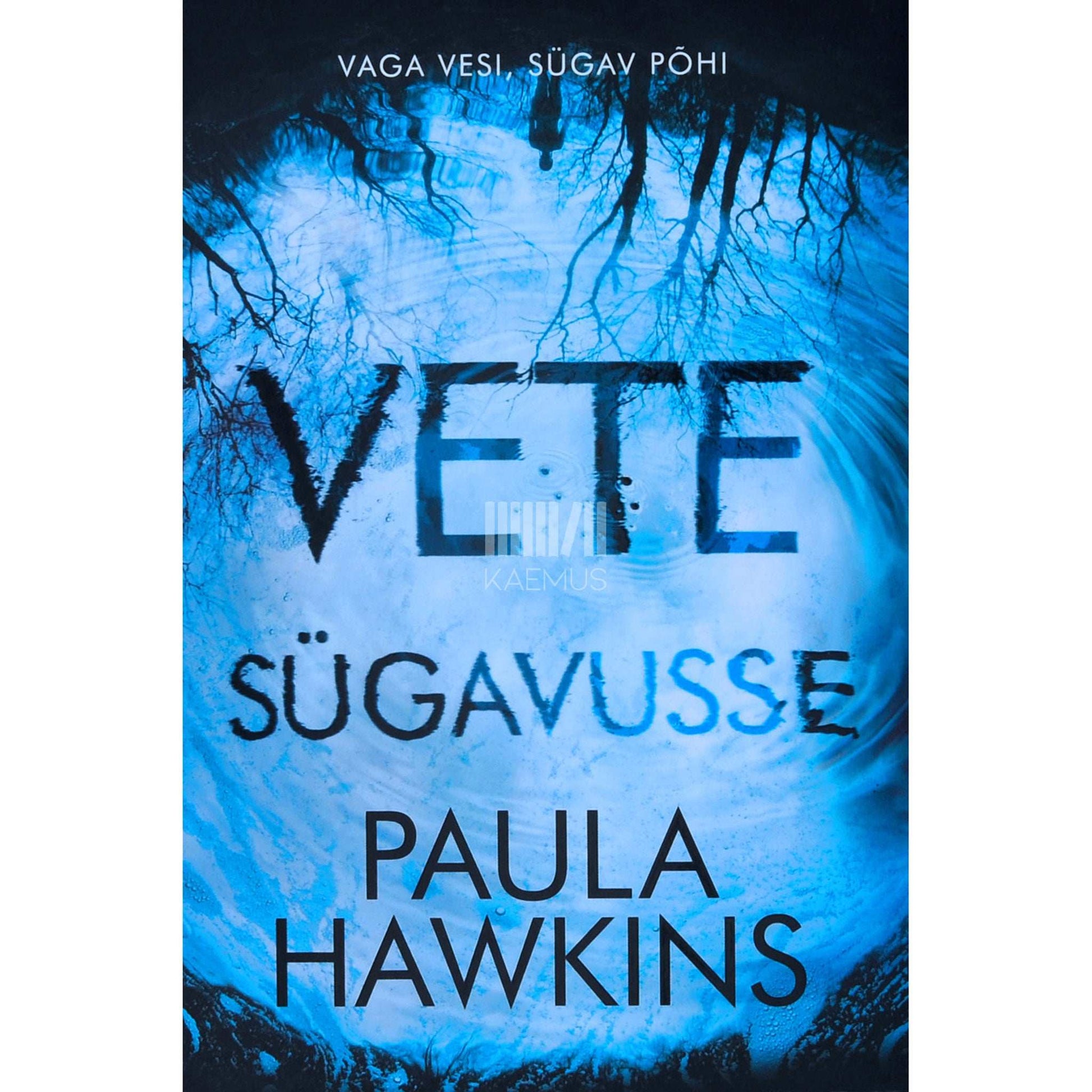 Paula Hawkins - Vete sügavusse