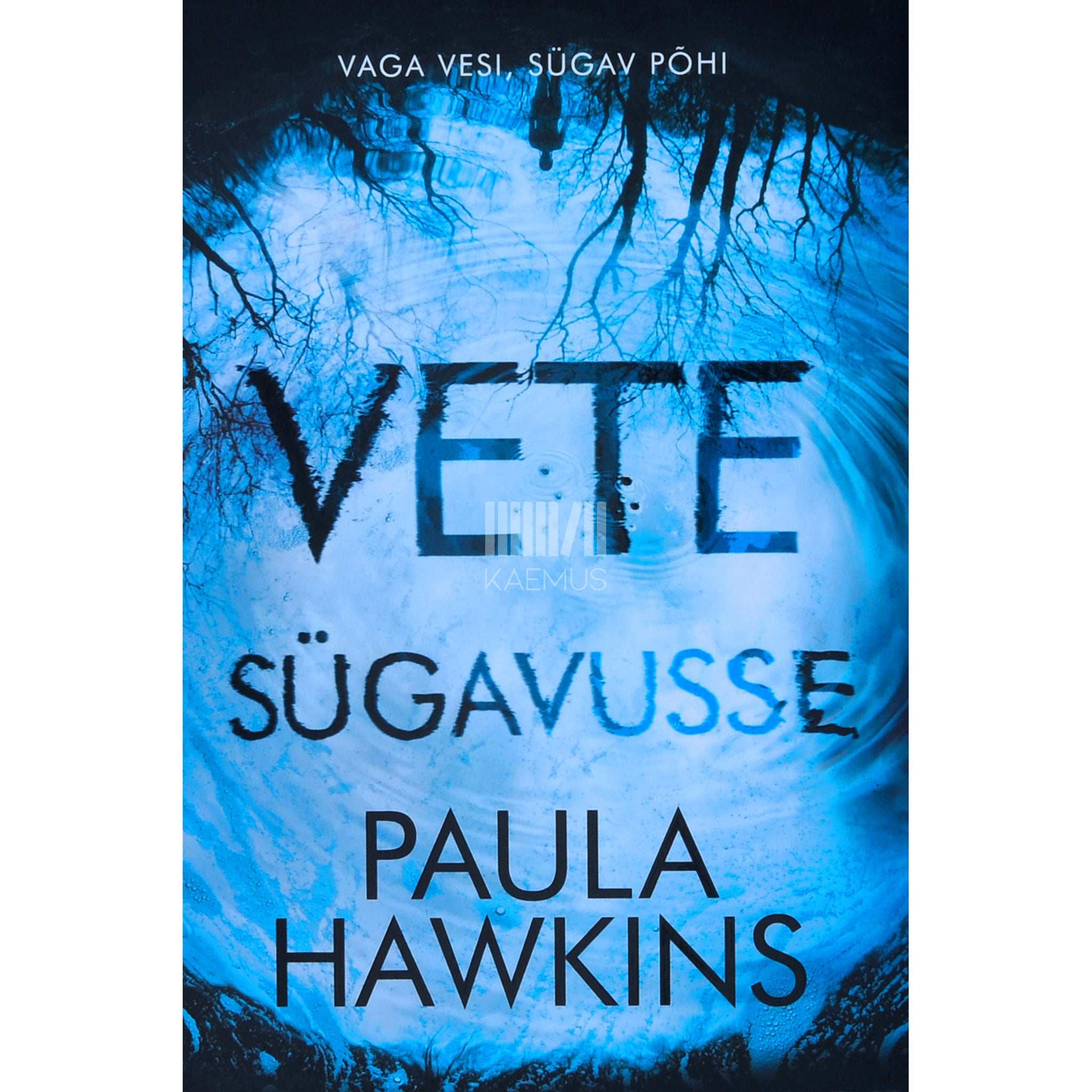 Paula Hawkins Vete sügavusse