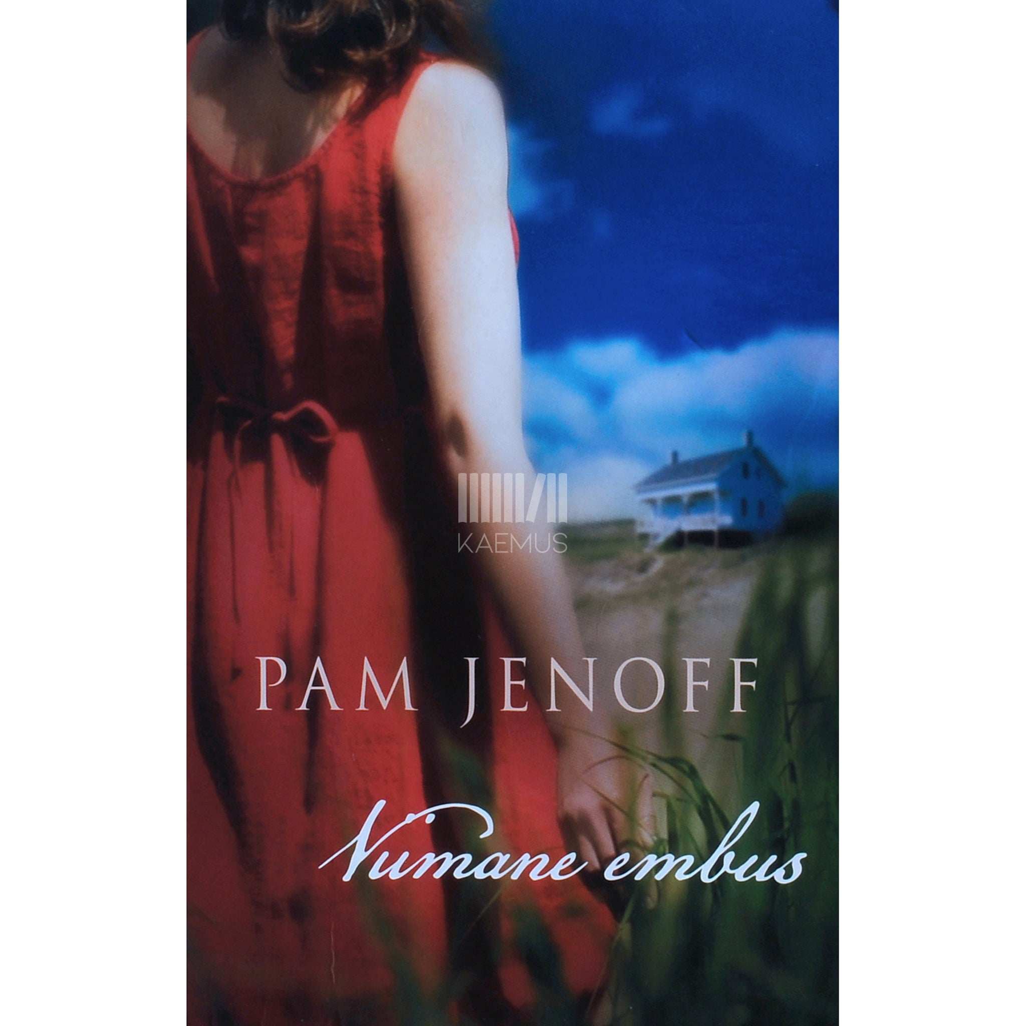 Pam Jenoff Viimane embus