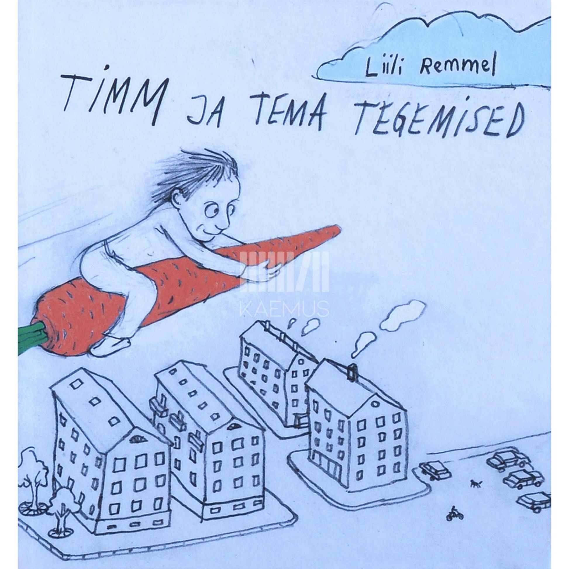 Liili Remmel - Timm ja tema tegemised