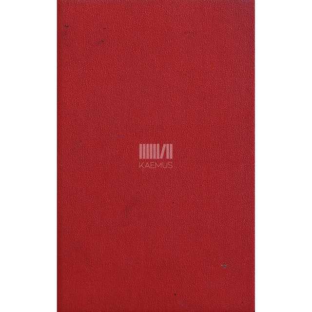 Sinclair Lewis - Peatänav. Carol Kennicotti lugu