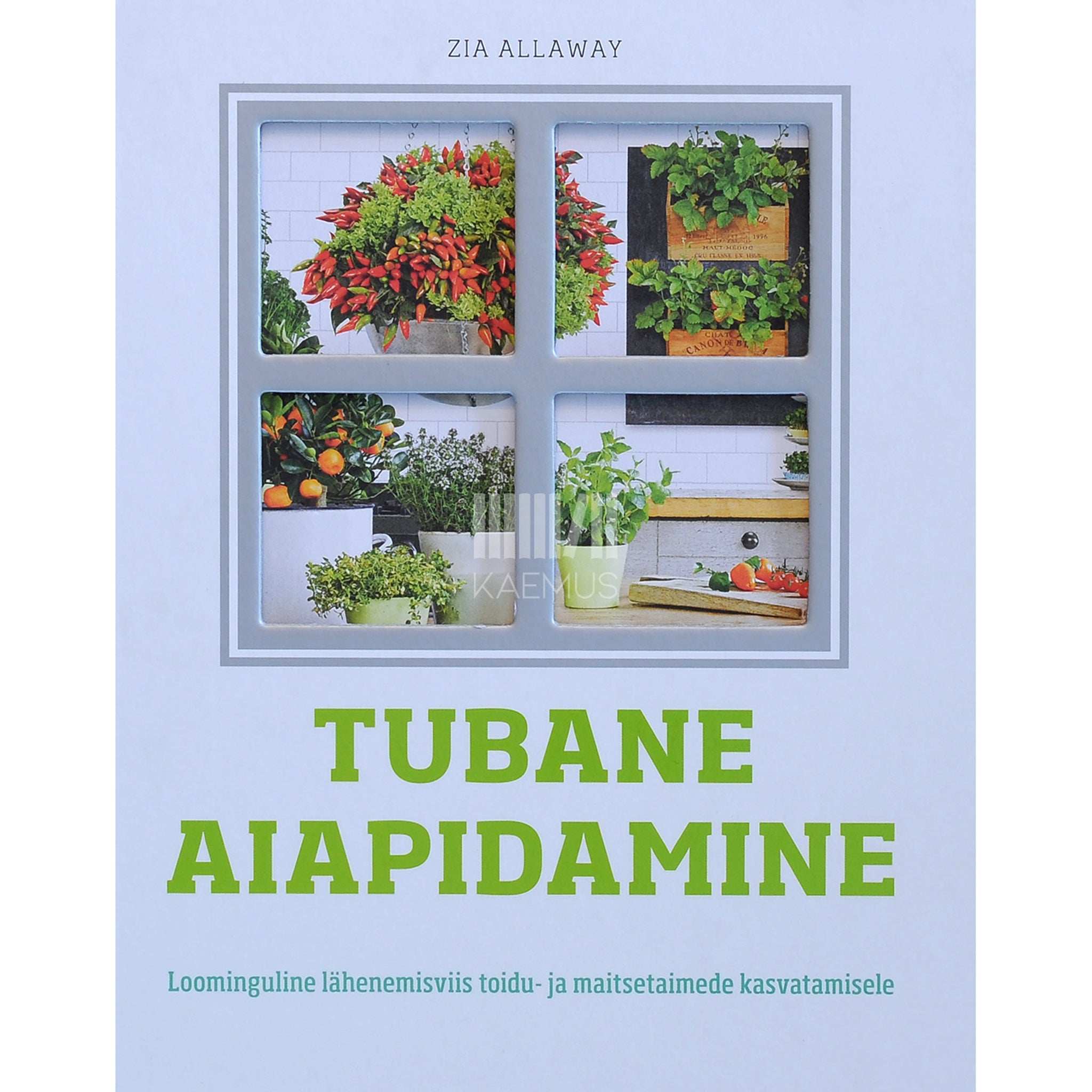 Zia Allaway Tubane aiapidamine. Loominguline lähenemisviis …