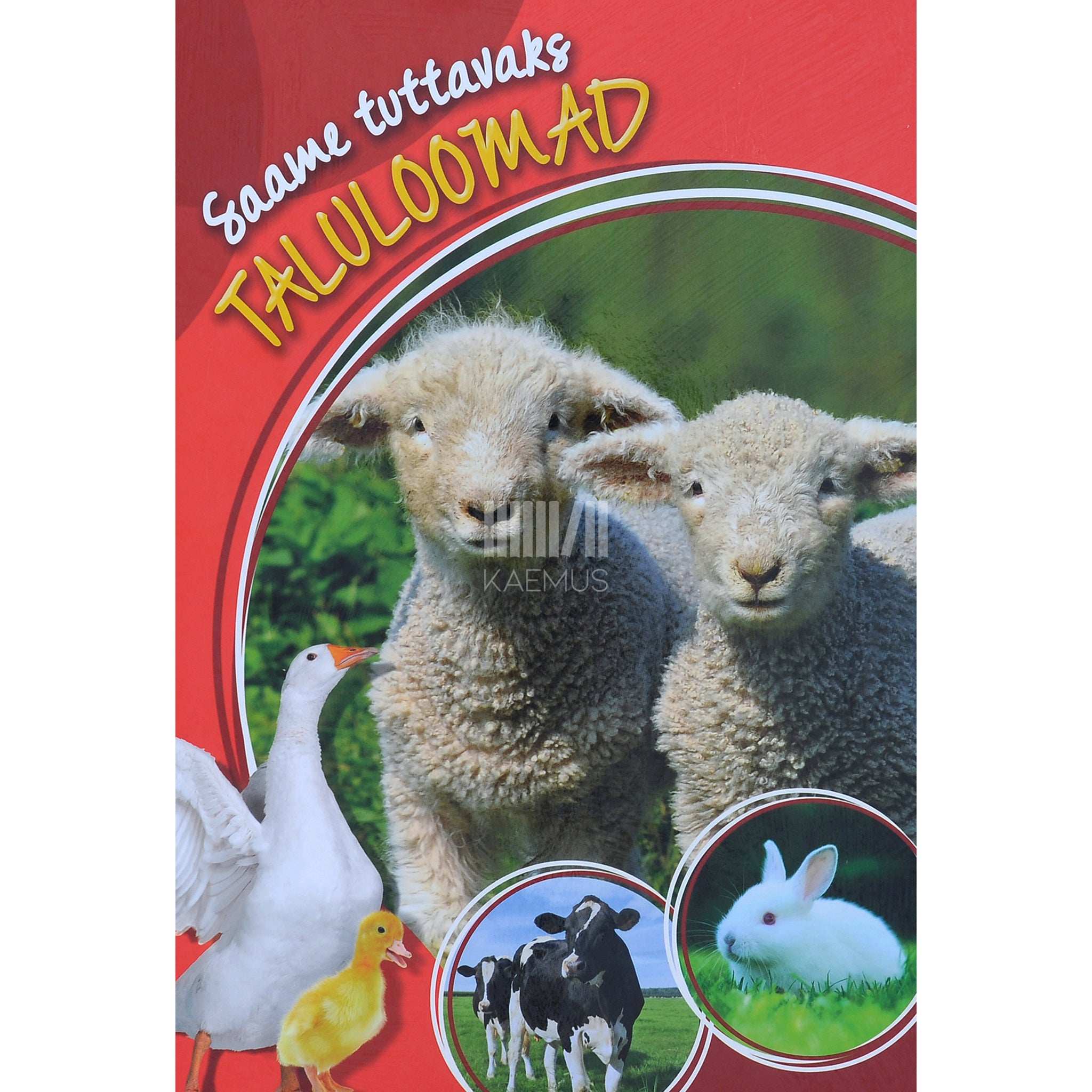 ... Saame tuttavaks. Taluloomad