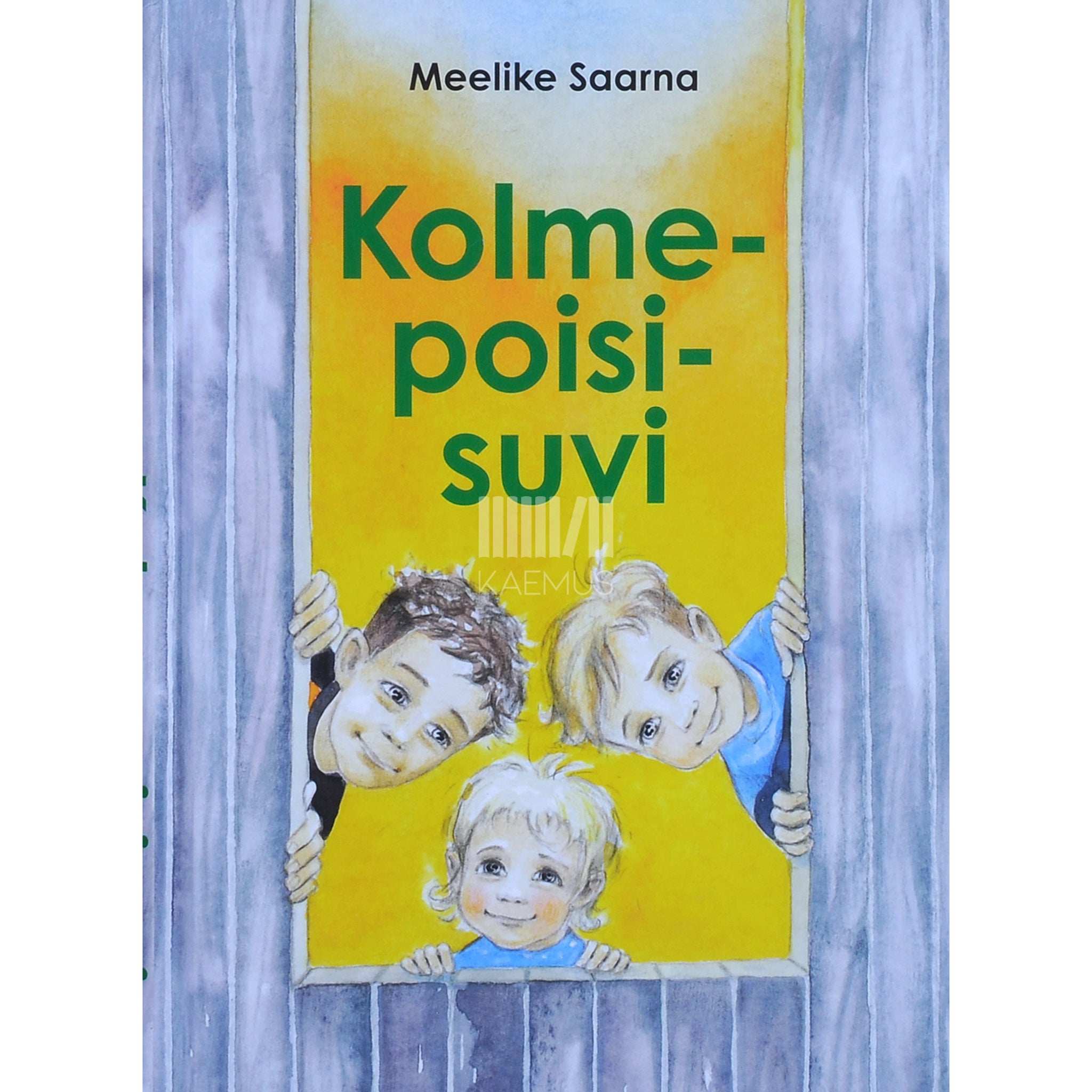 Meelike Saarna Kolmepoisisuvi