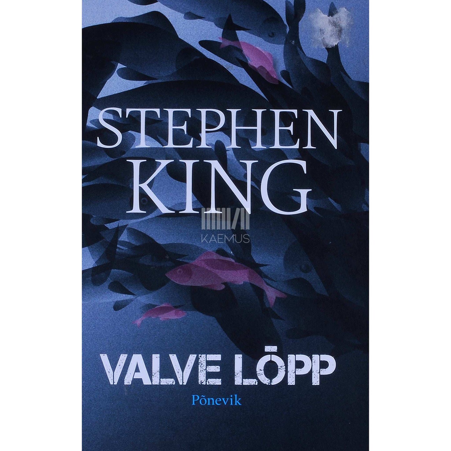 Stephen King - Valve lõpp