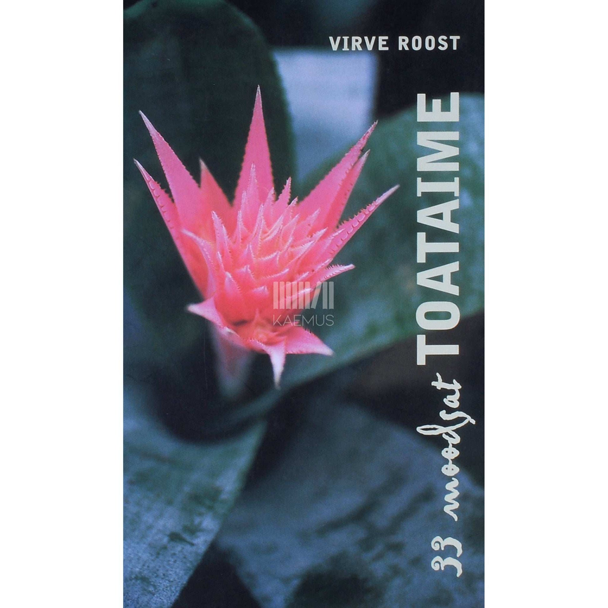 Virve Roost - 33 moodsat toataime