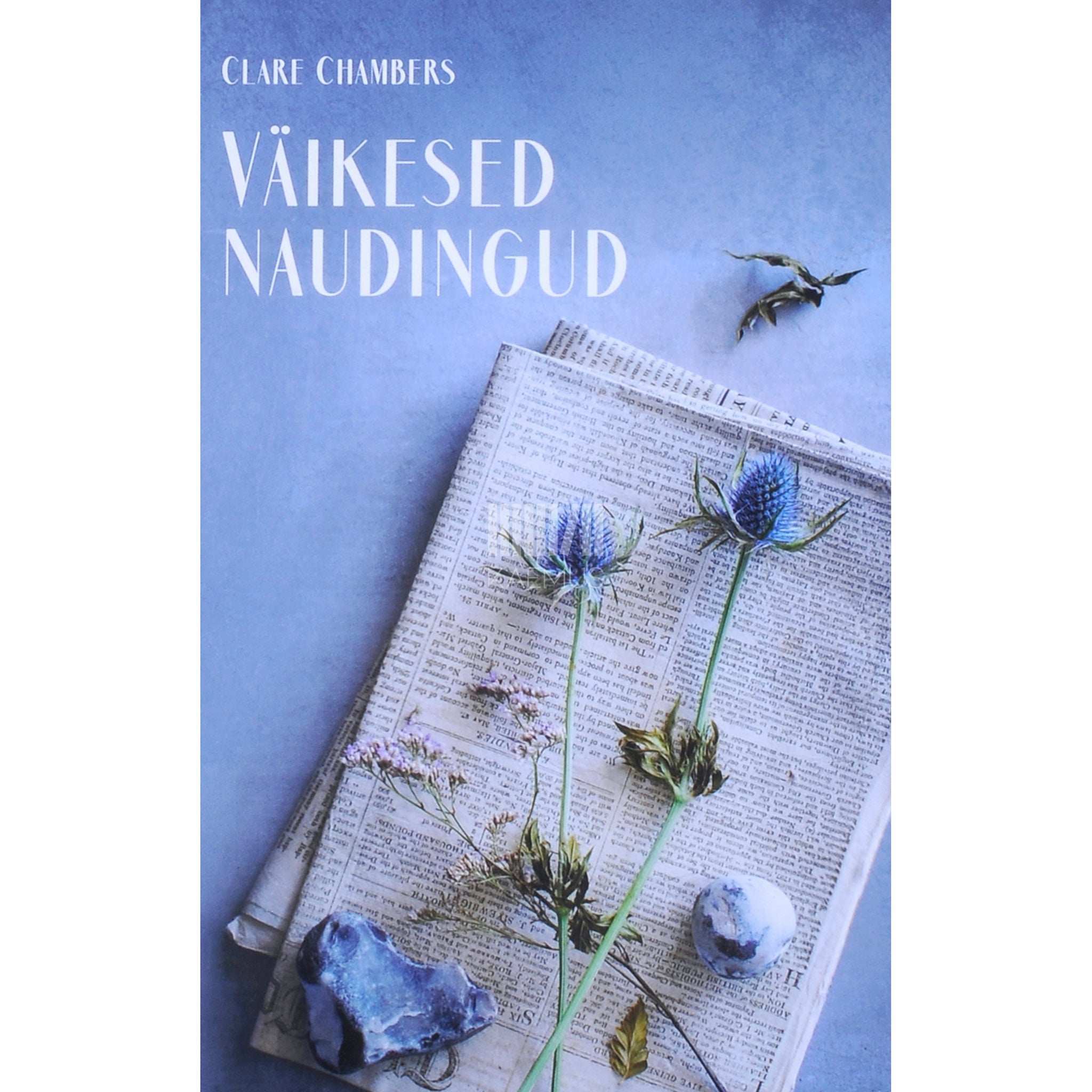 Clare Chambers Väikesed naudingud