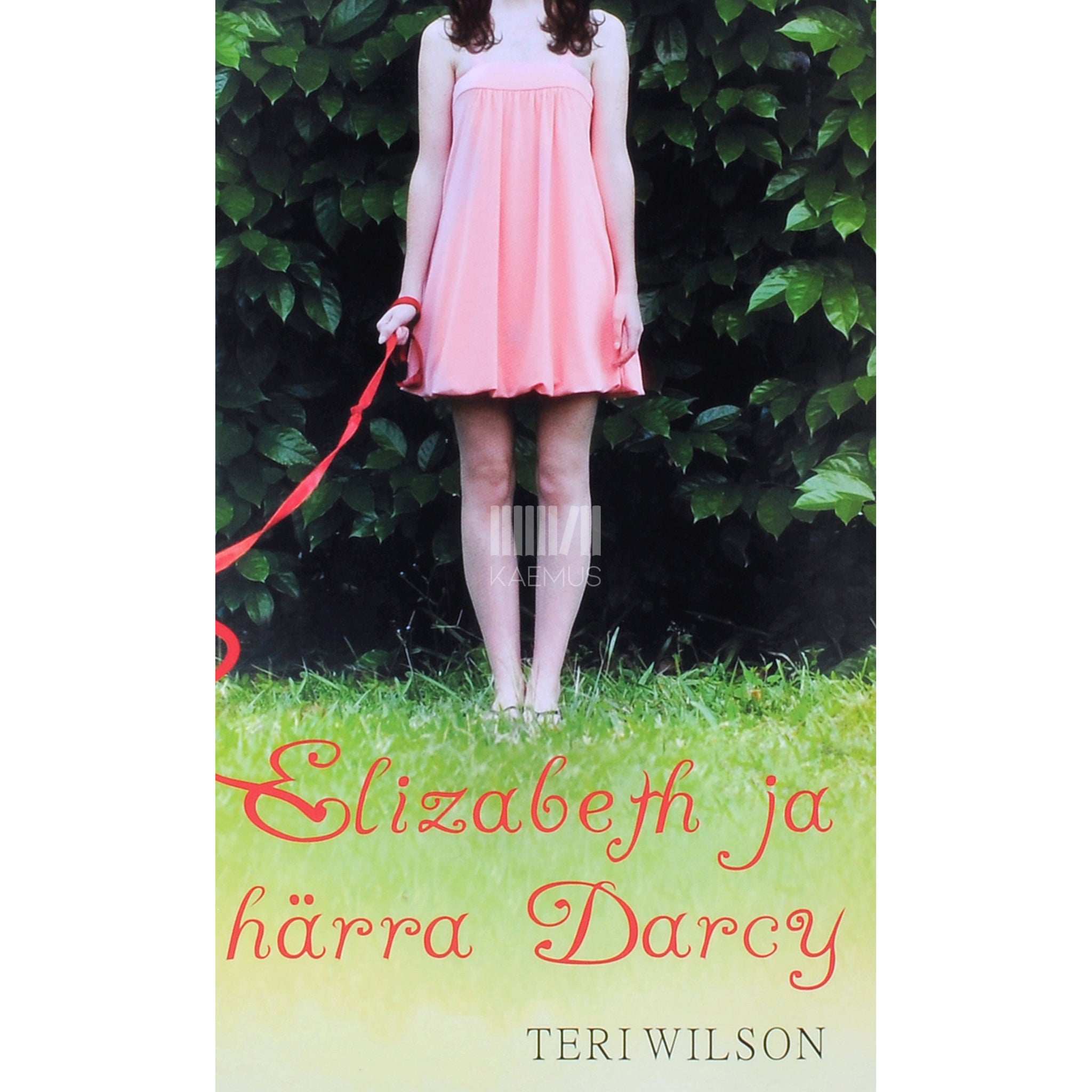 Teri Wilson Elizabeth ja härra Darcy