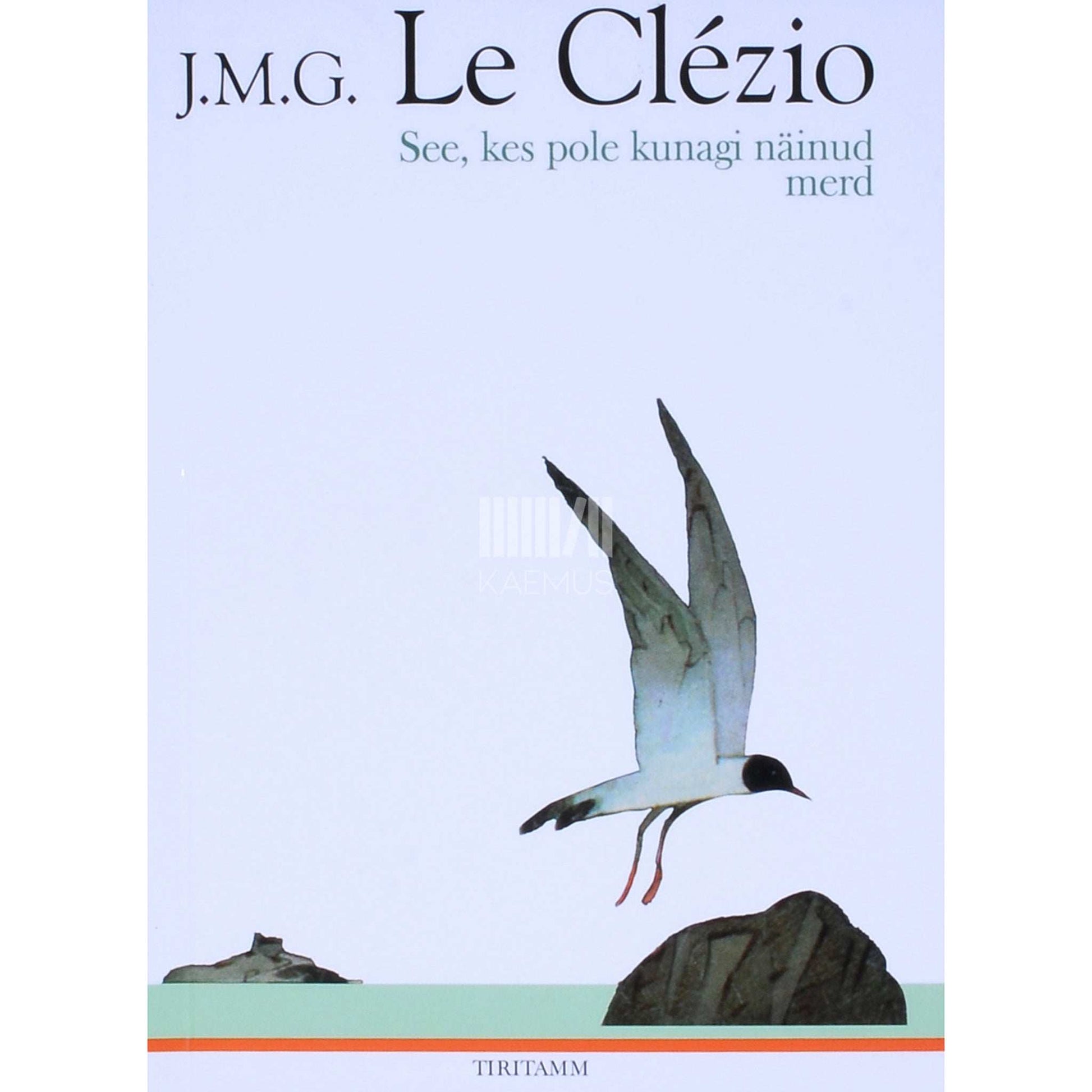 Jean Marie Gustave Le Clézio - See, kes pole kunagi näinud merd