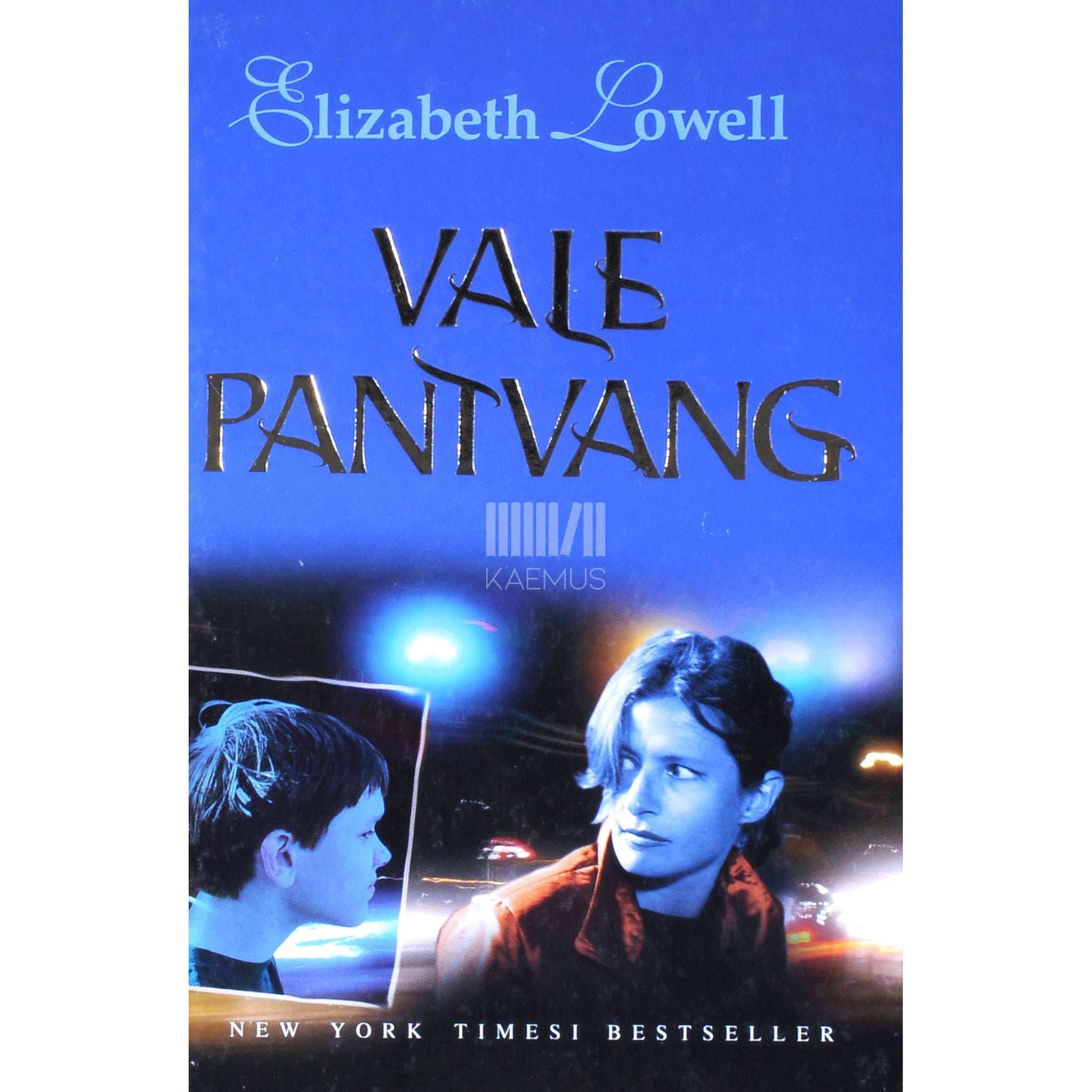 Elizabeth Lowell - Vale pantvang