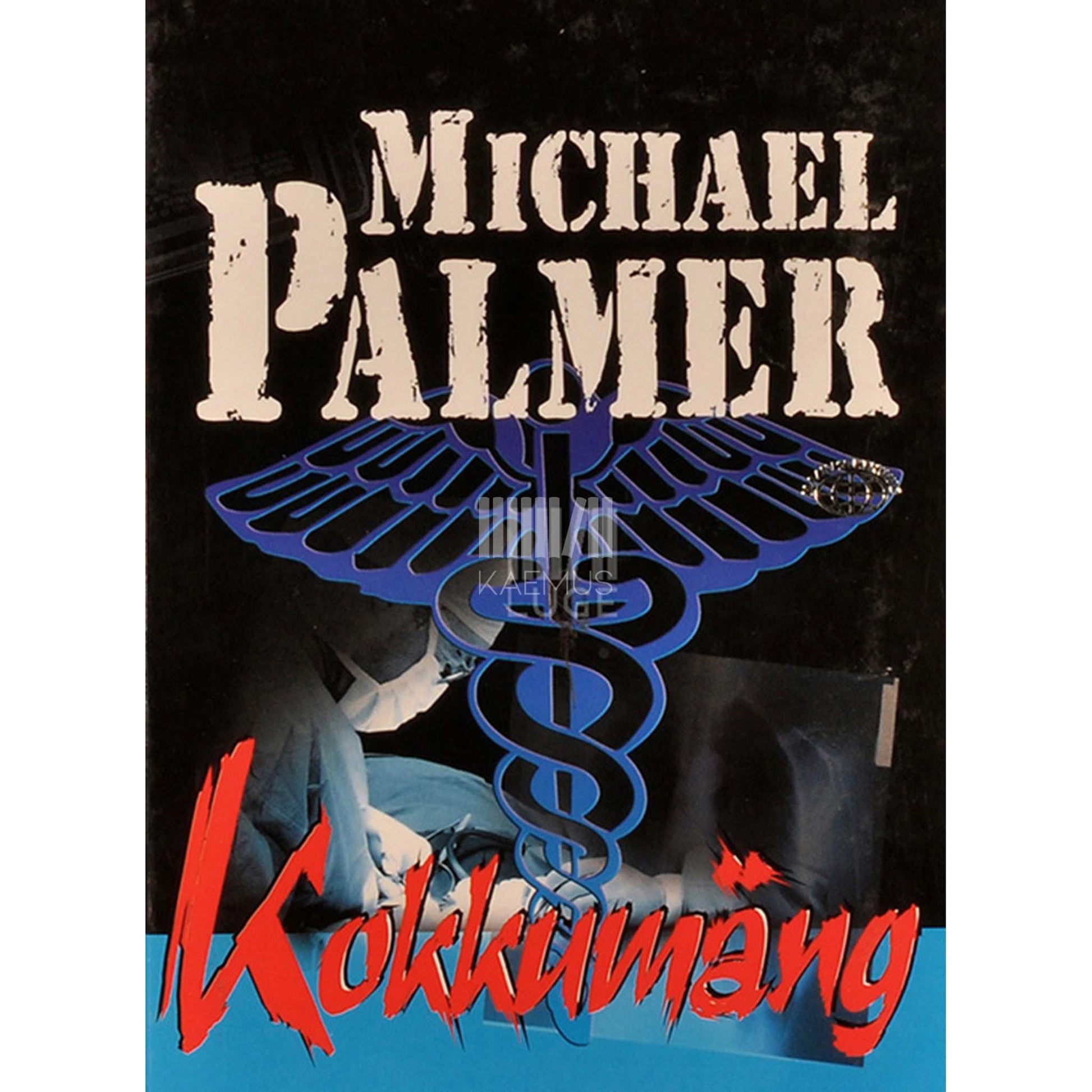 Michael Palmer - Kokkumäng