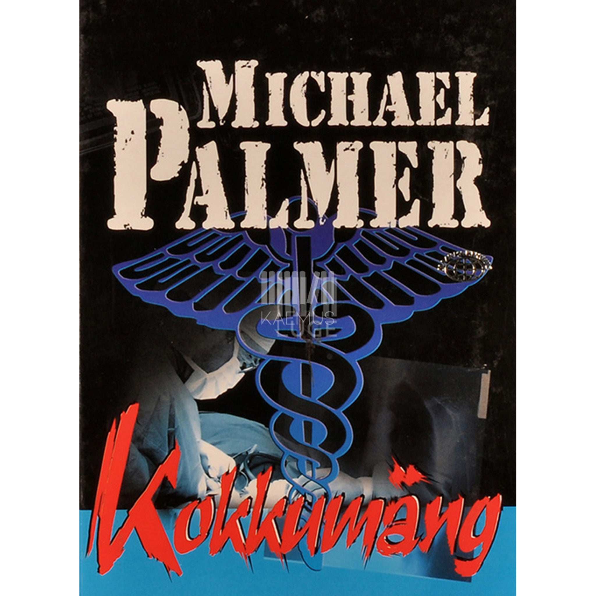 Michael Palmer Kokkumäng