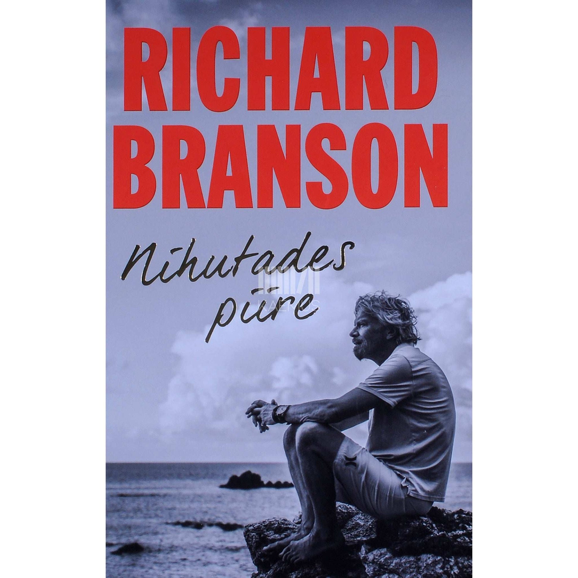 Richard Branson - Nihutades piire