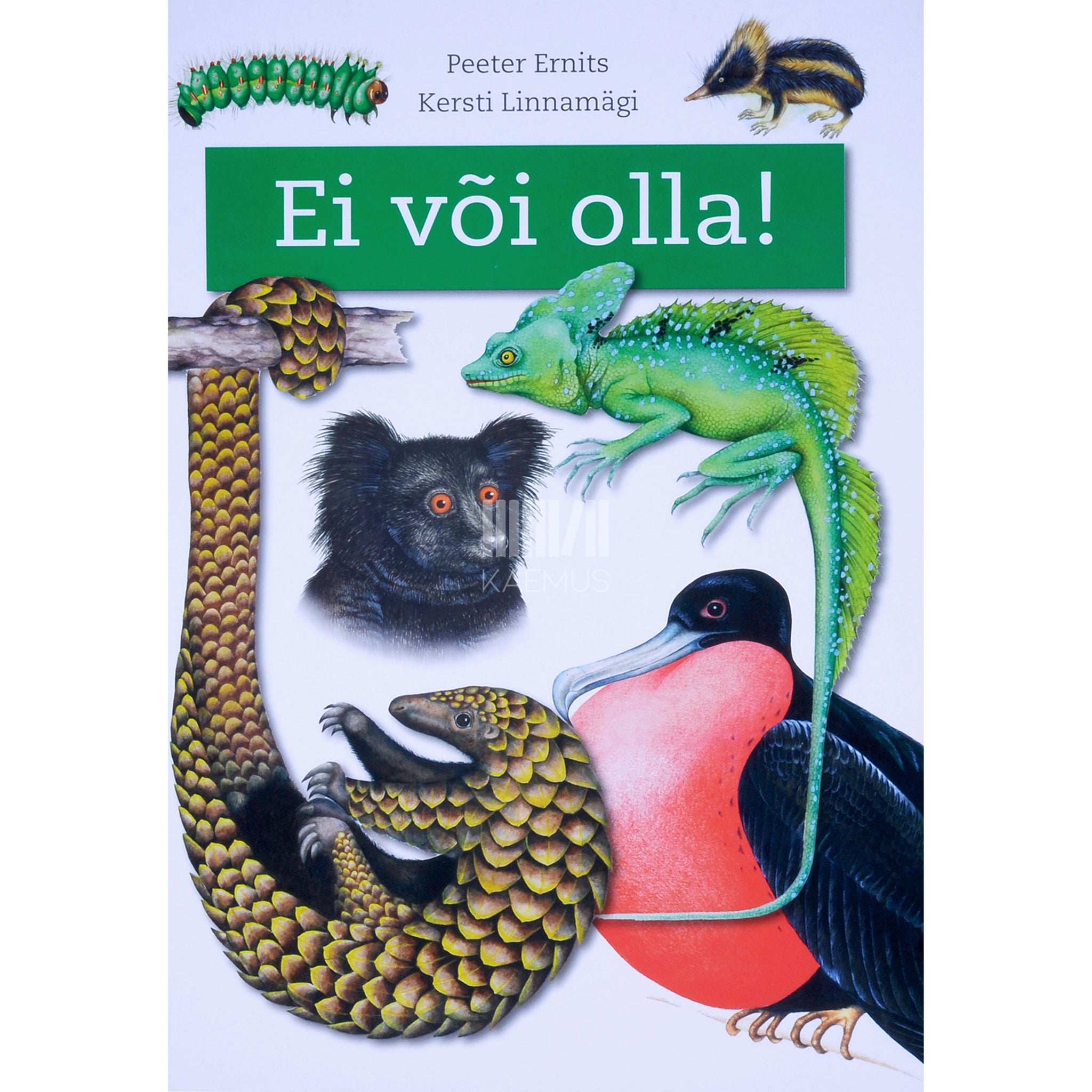 Peeter Ernits Ei või olla!