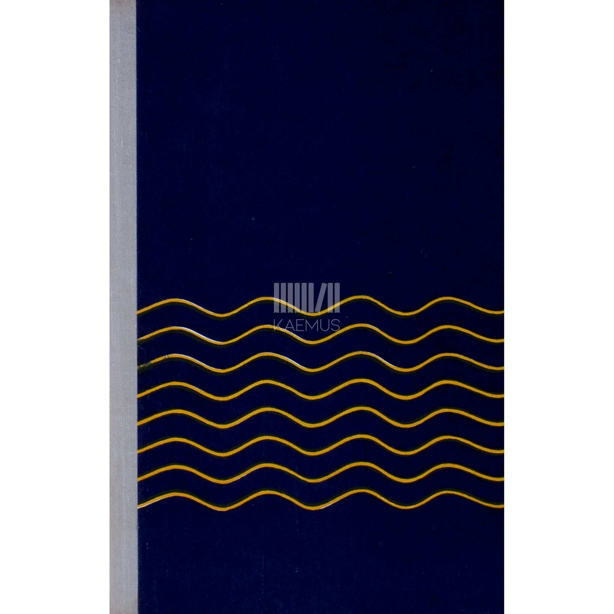 Jüri Tuulik Vana loss. Abruka lood