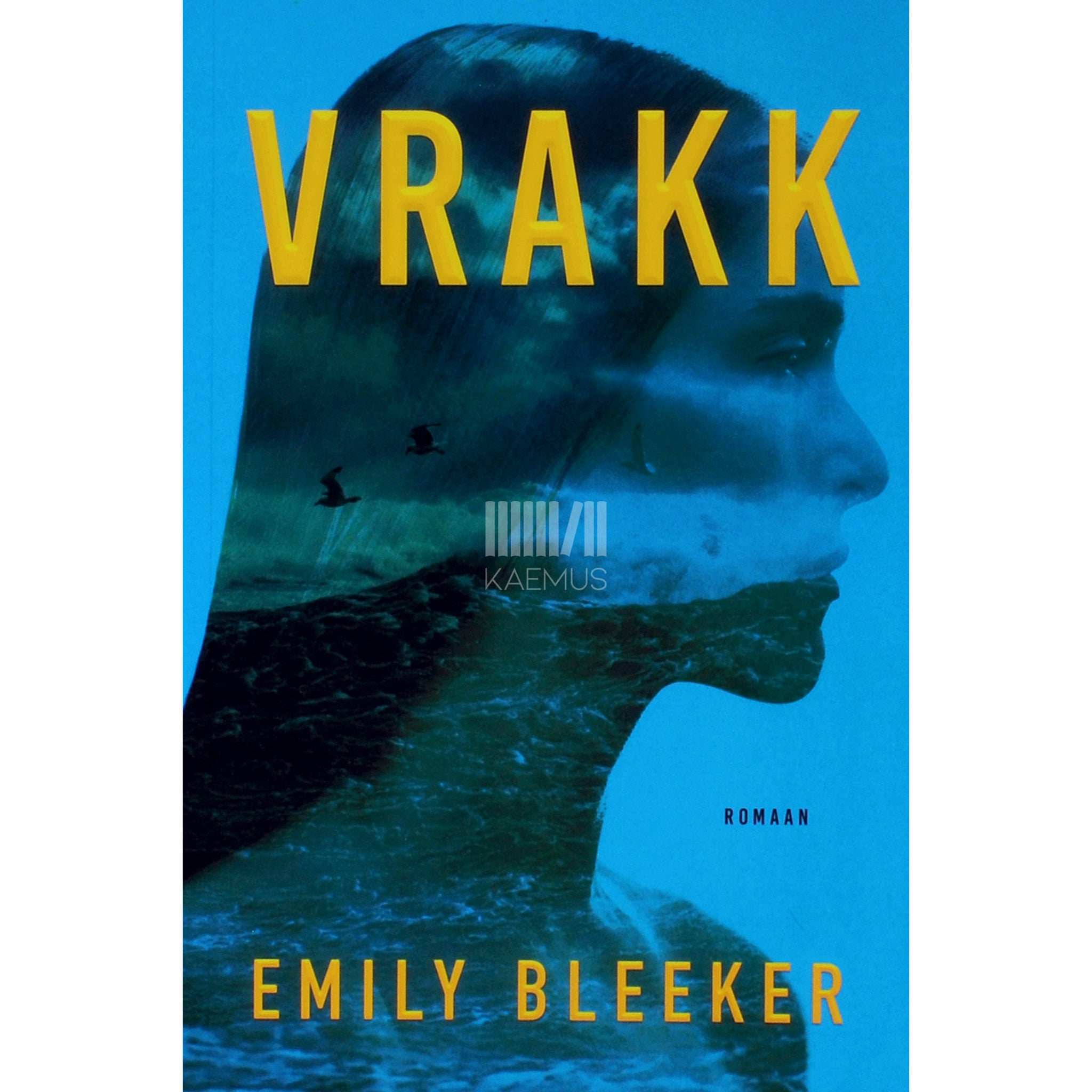 Emily Bleeker Vrakk