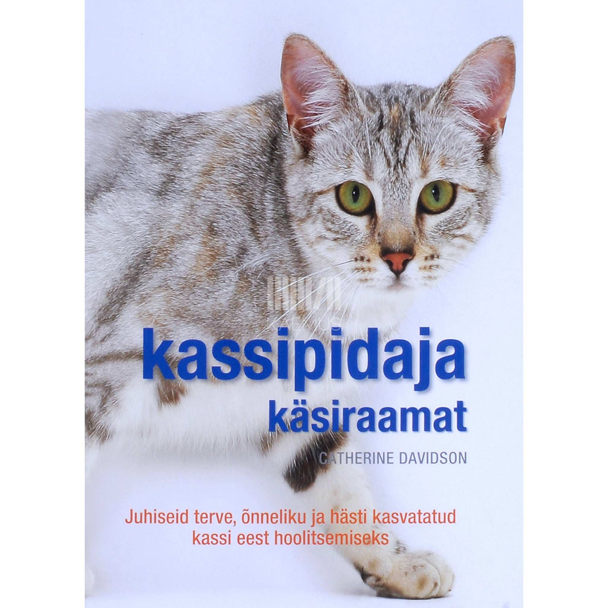 Catherine Davidson Kassipidaja käsiraamat