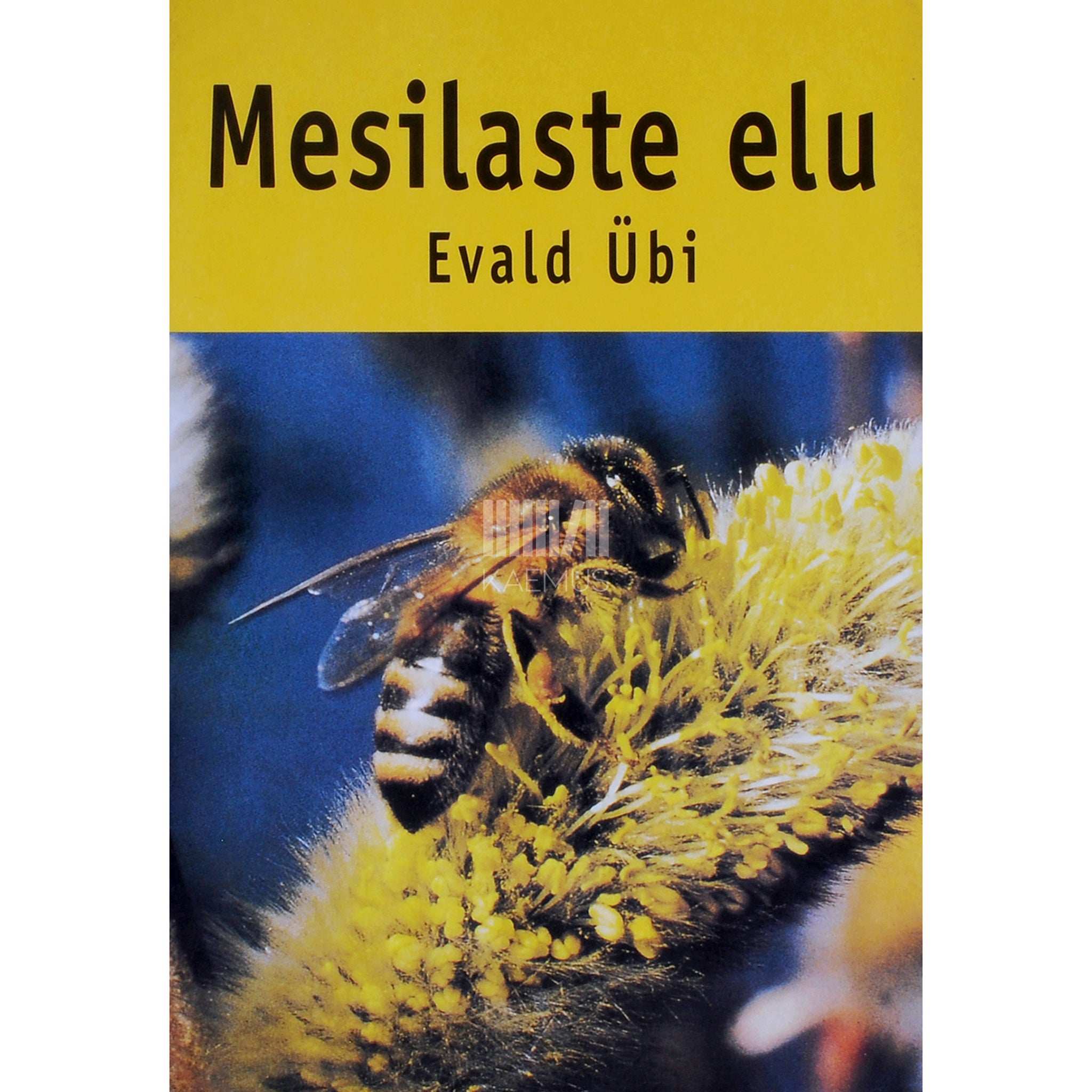 Evald Übi Mesilaste elu