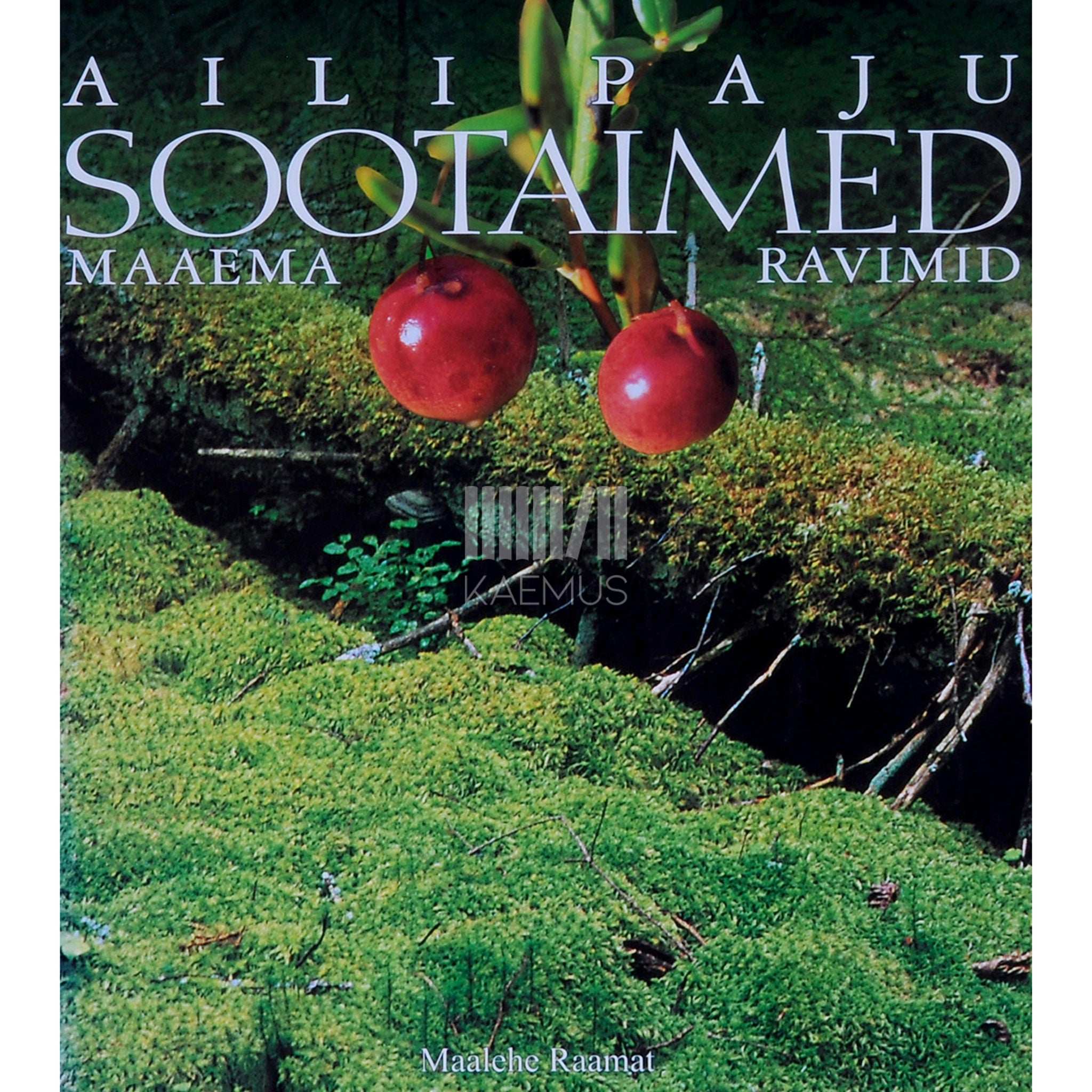 Aili Paju Sootaimed. Maaema ravimid