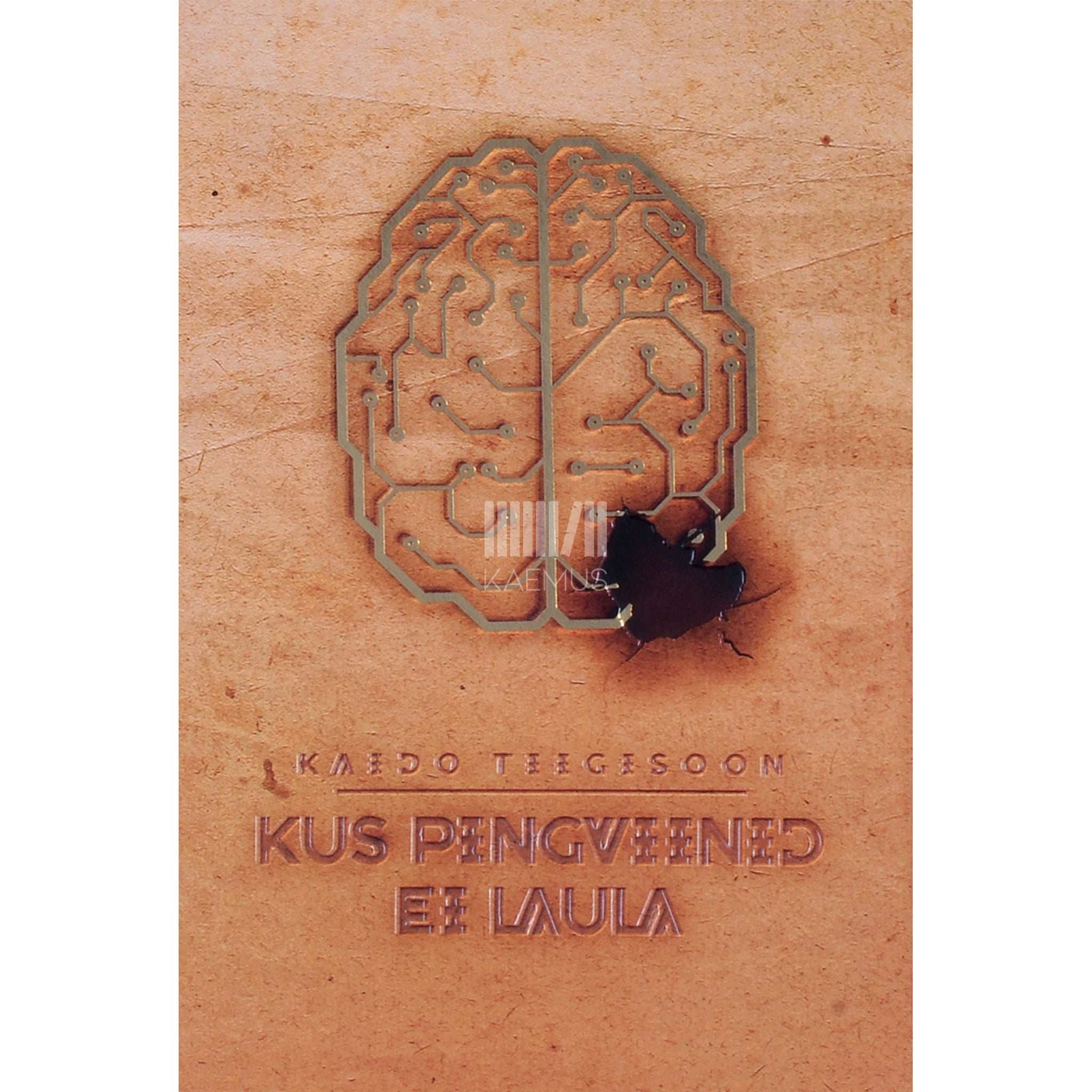 Kaido Tiigisoon Kus pingviinid ei laula