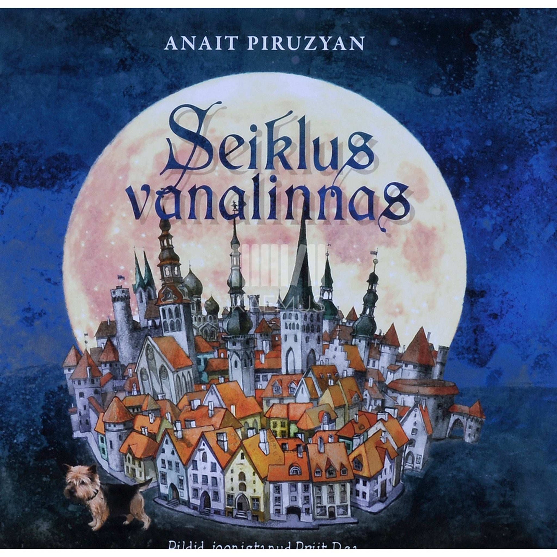 Anait Piruzyan - Seiklus vanalinnas