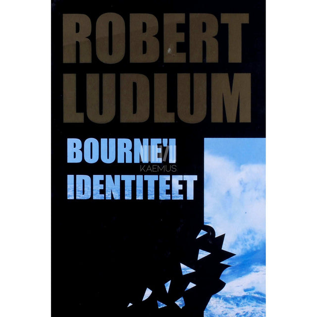 Robert Ludlum - Bourne'i identiteet