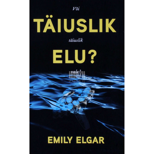 Emily Elgar - Täiuslik elu? Või täiuslik vale?