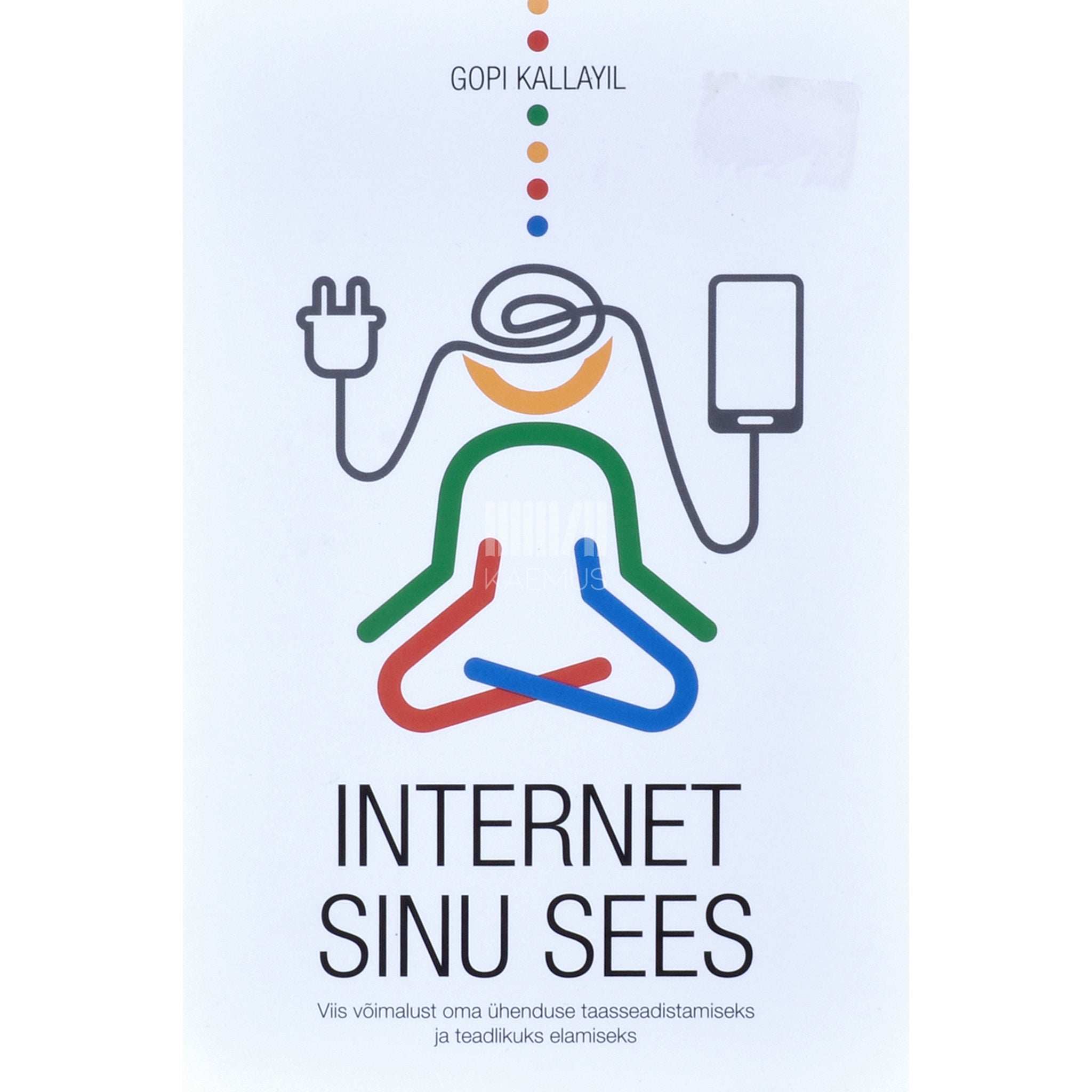 Gopi Kallayil Internet Sinu sees. Viis võimalust oma ühenduse taasseadistamiseks ja teadlikuks elamiseks