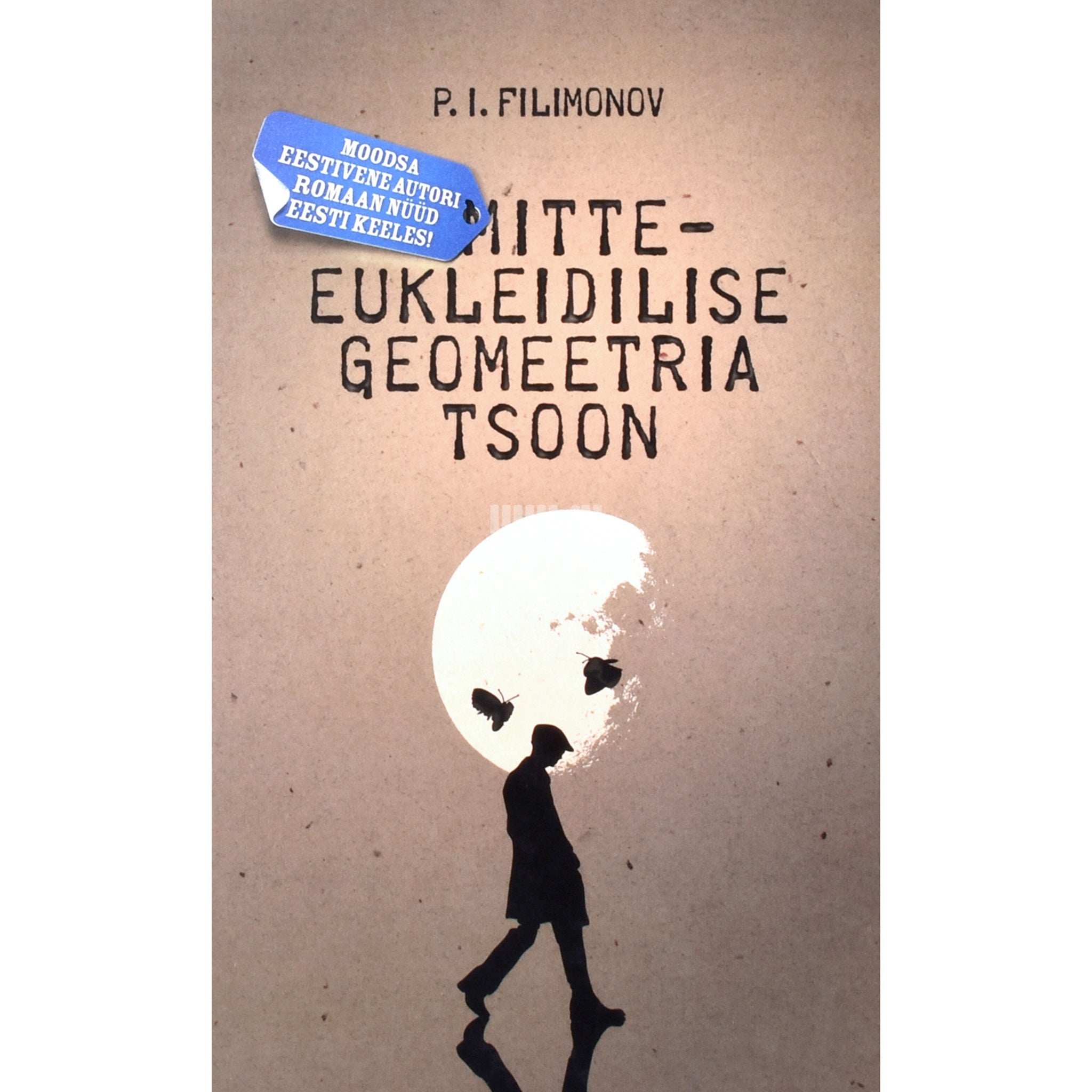 P. I. Filimonov Mitteeukleidilise geomeetria tsoon. Romaan manipulatsioonist