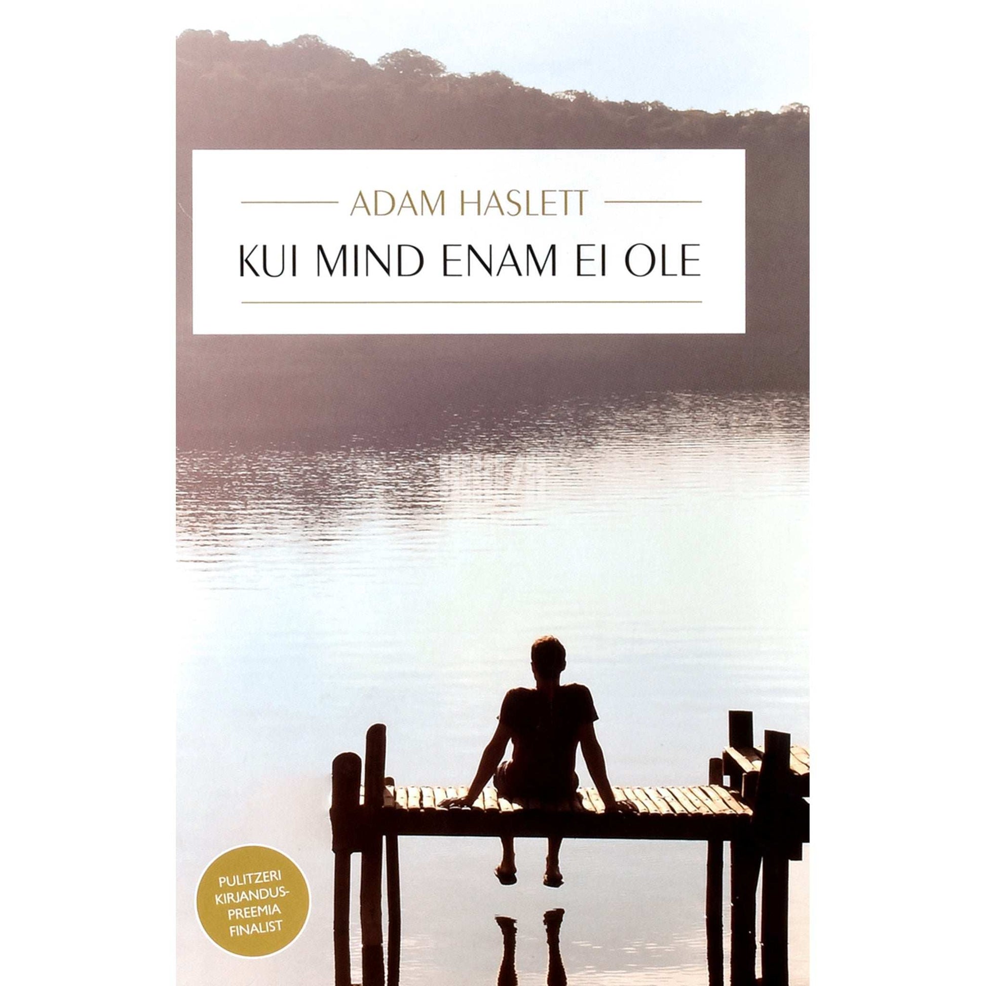 Adam Haslett - Kui mind enam ei ole