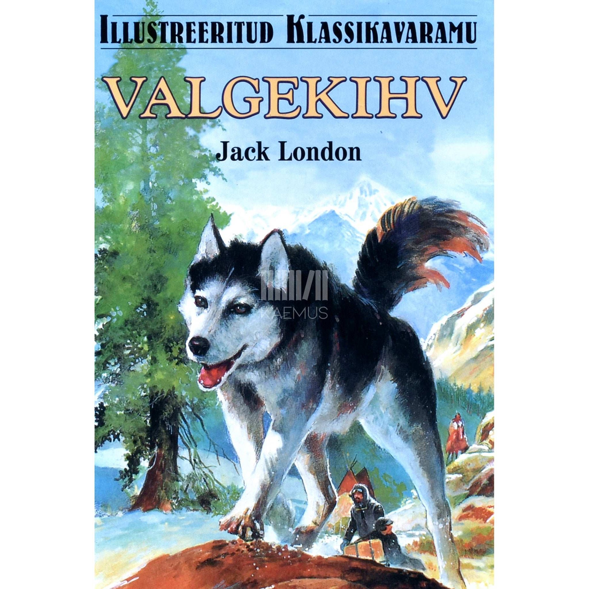 Jack London - Valgekihv