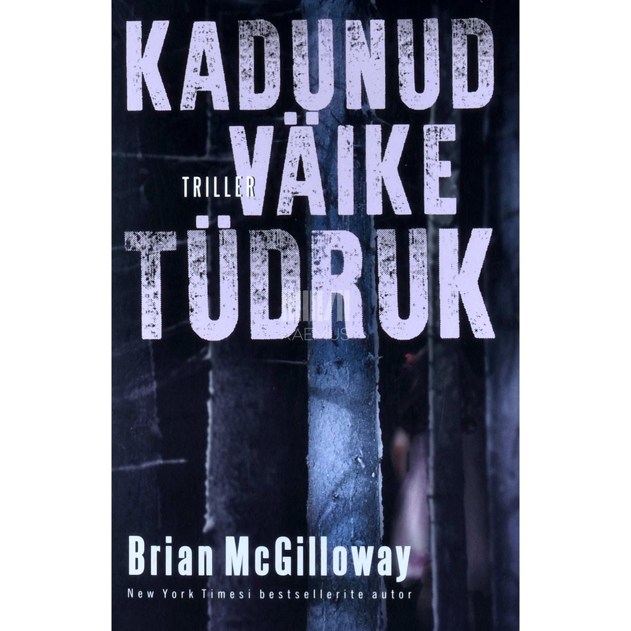 Brian McGilloway Kadunud väike tüdruk