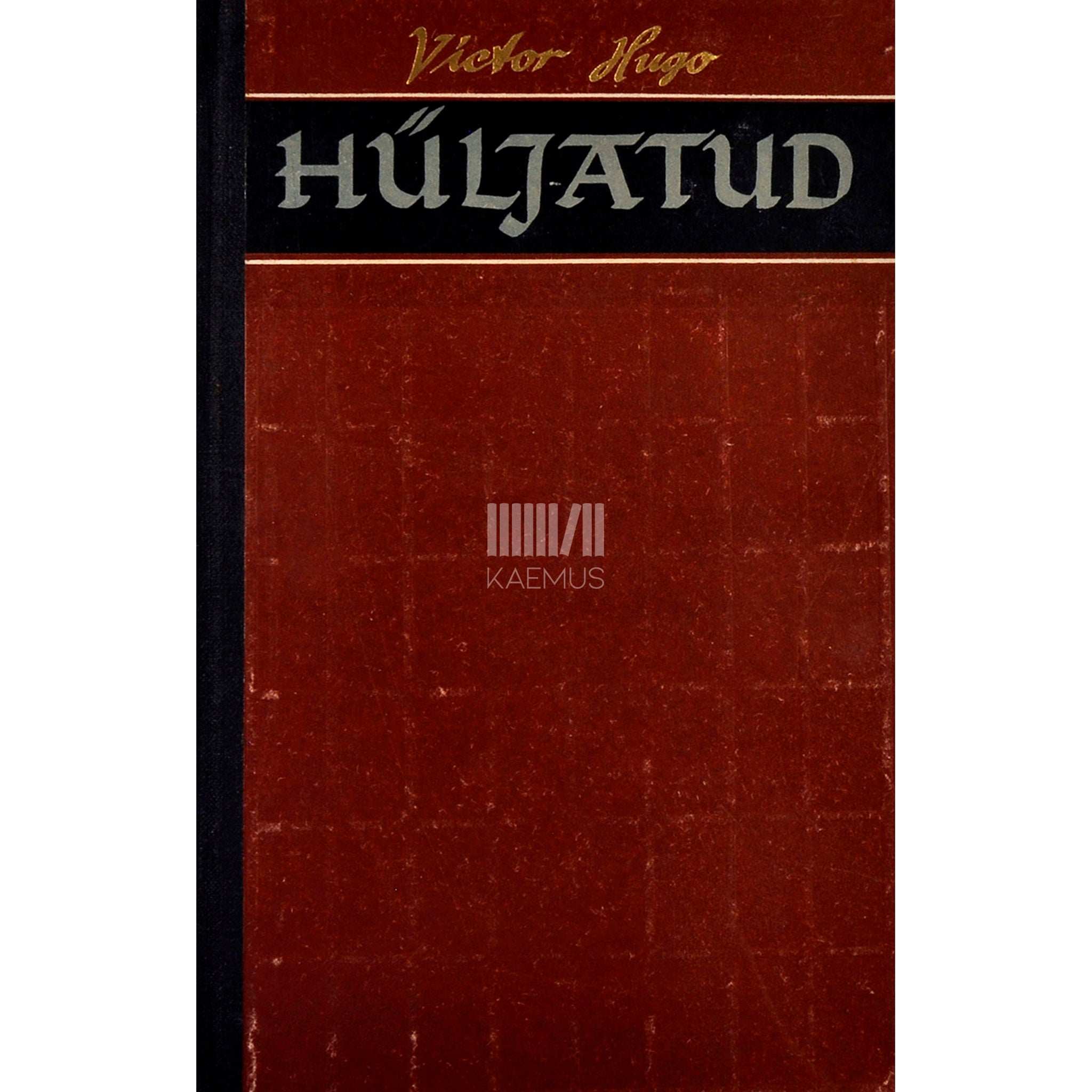 Victor Hugo Hüljatud 2. osa
