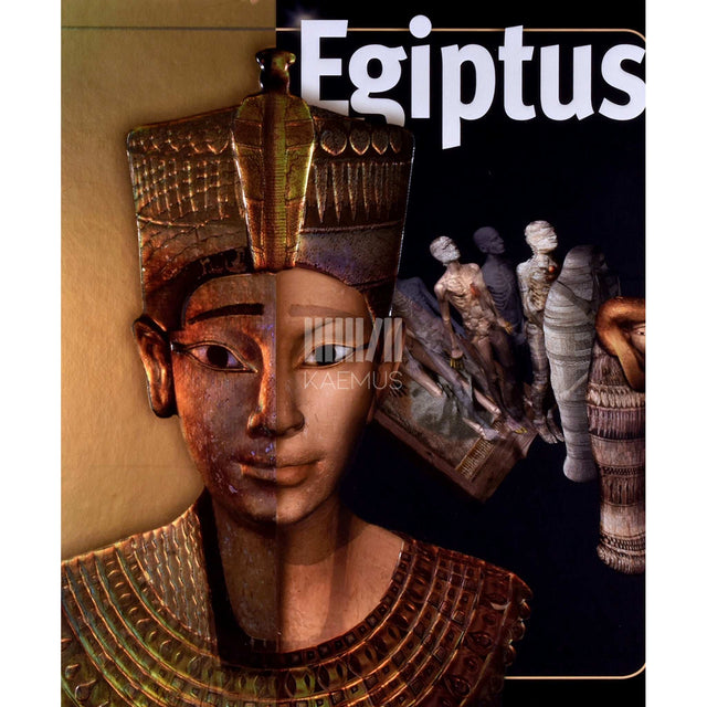 Joyce Tyldesley - Egiptus