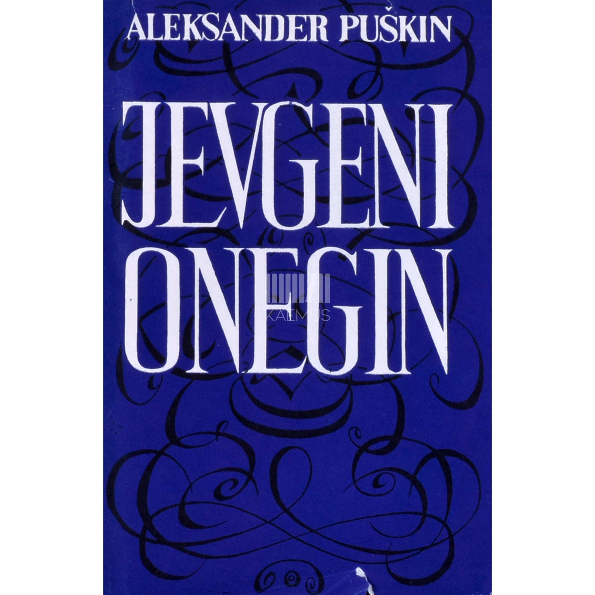 Aleksandr Puškin Jevgeni Onegin