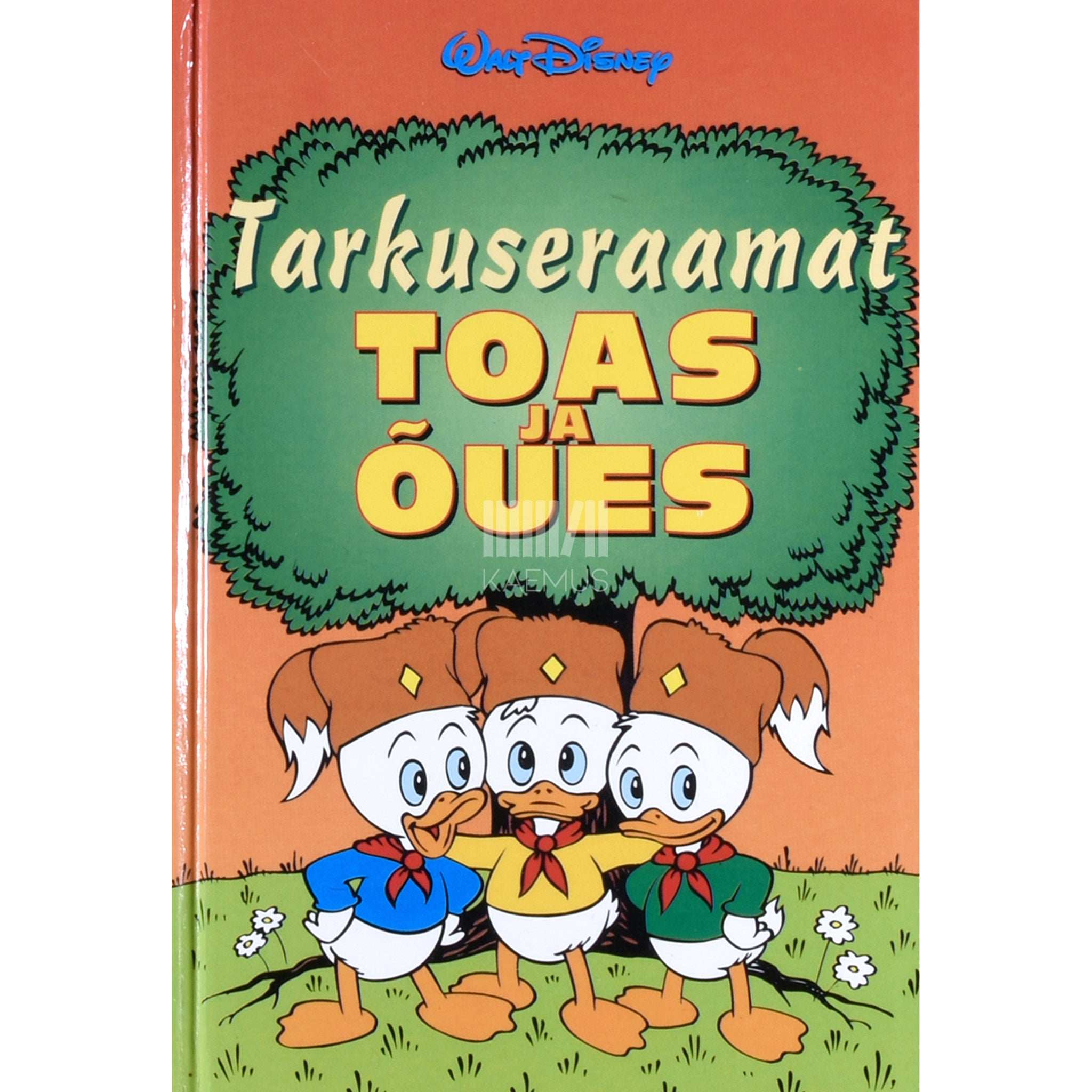 Disney Tarkuseraamat. Toas ja õues