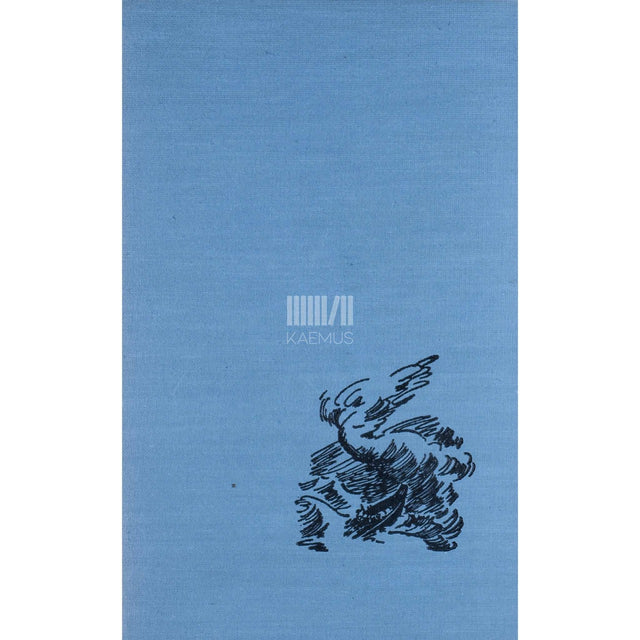 Rabindranath Tagore - Laevahukk