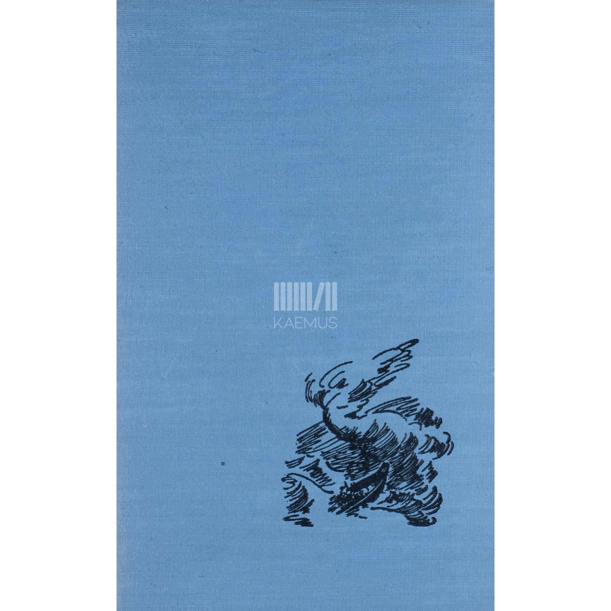 Rabindranath Tagore Laevahukk