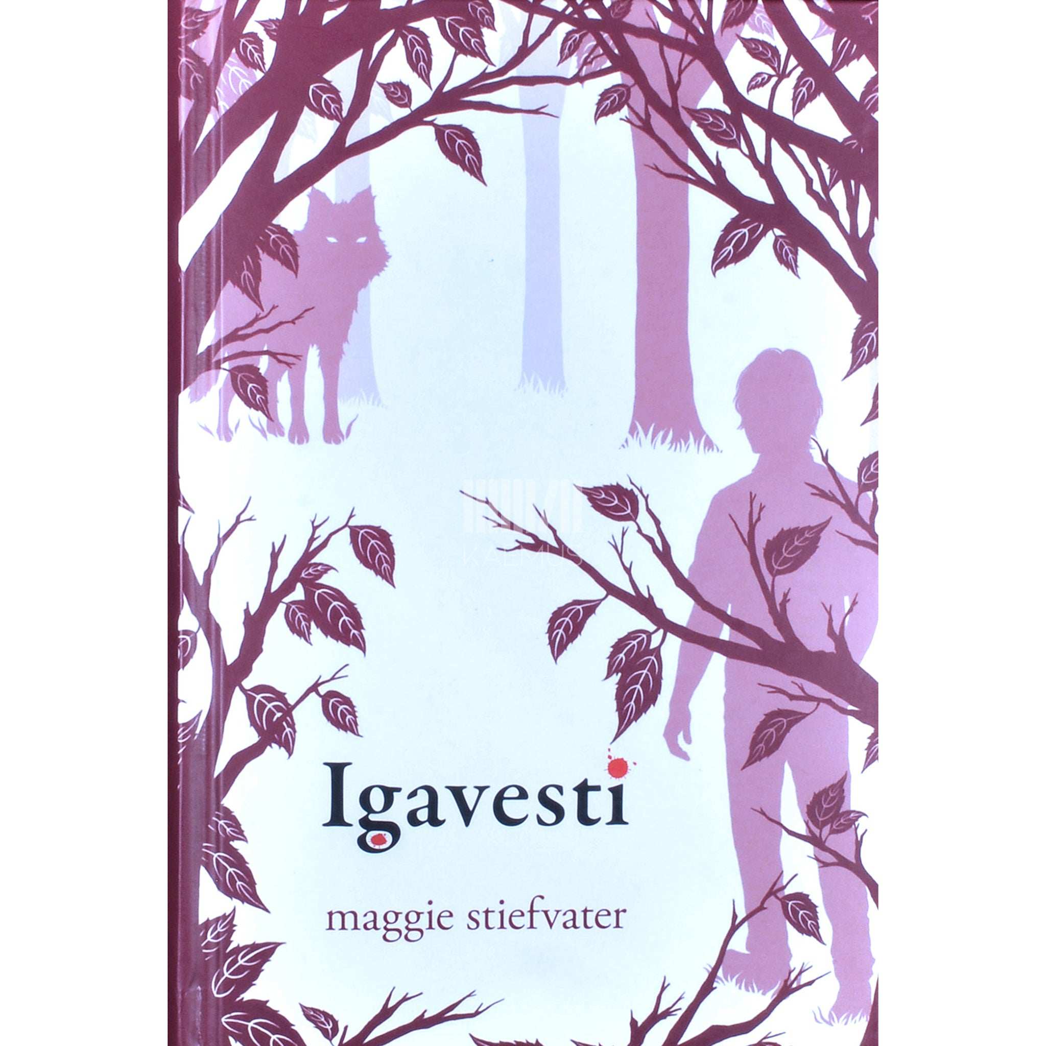 Maggie Stiefvater Igavesti