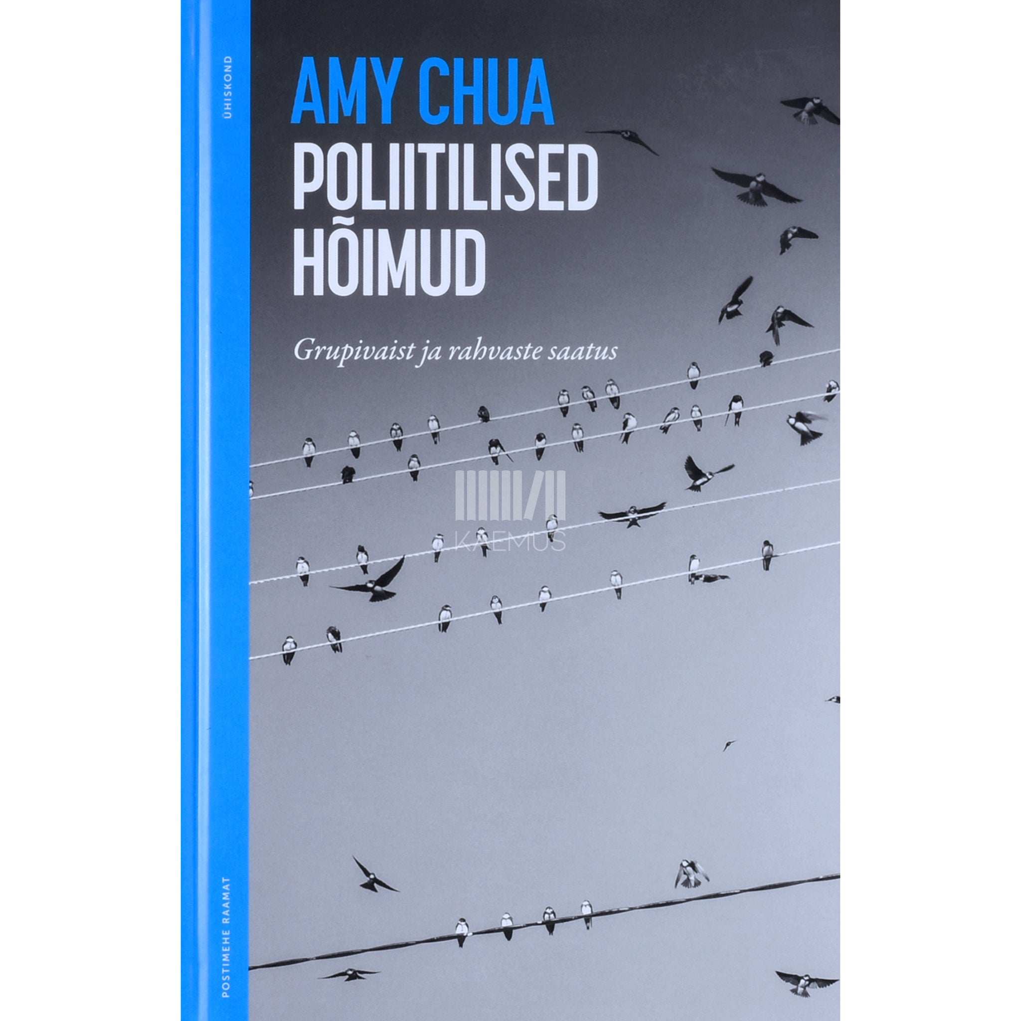 Amy Chua Poliitilised hõimud. Grupivaist ja rahvaste saatus