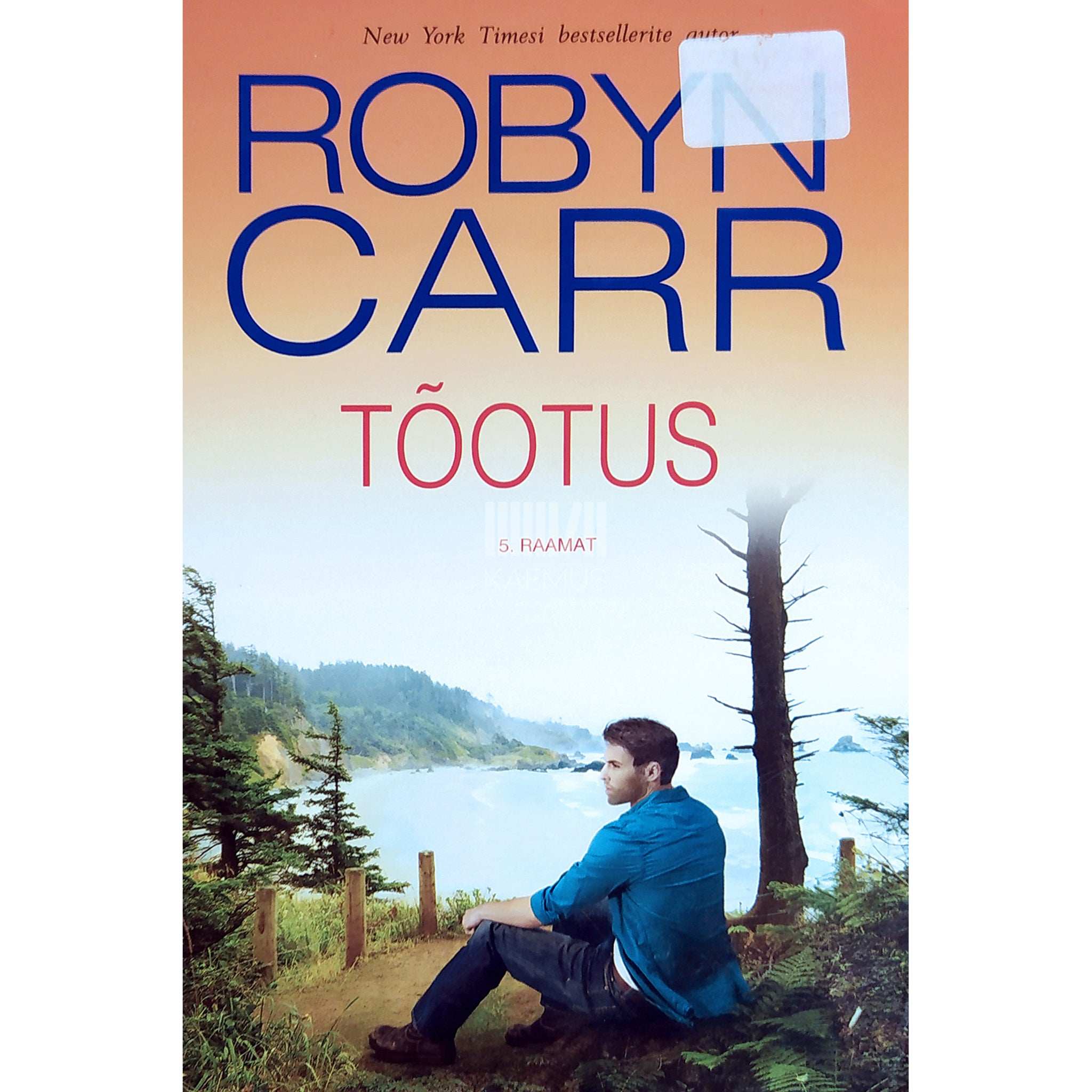 Robyn Carr Tõotus. Thunder Point 5. osa